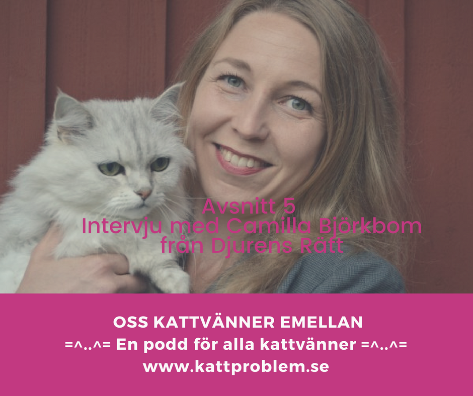 Oss Kattvänner Emellan