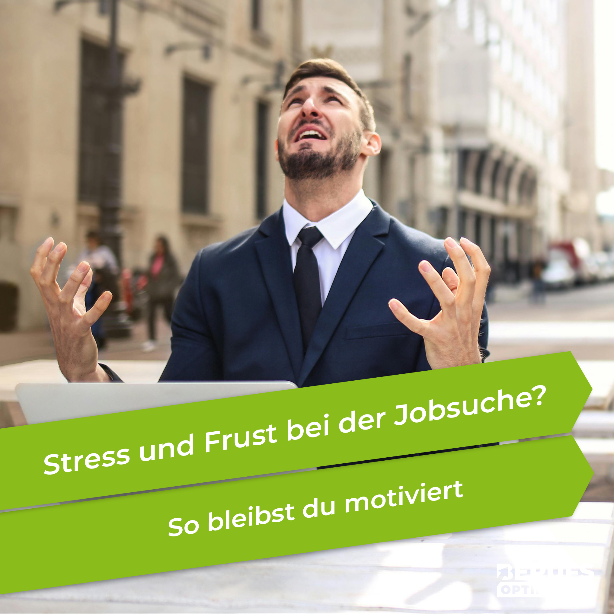 Berufsoptimierer - Erfolg in Bewerbung und Karriere