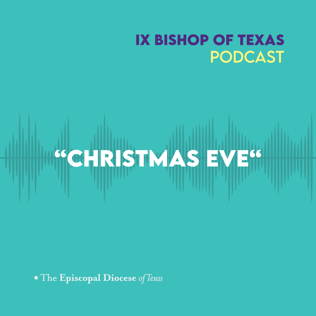 Ninth Bishop of Texas