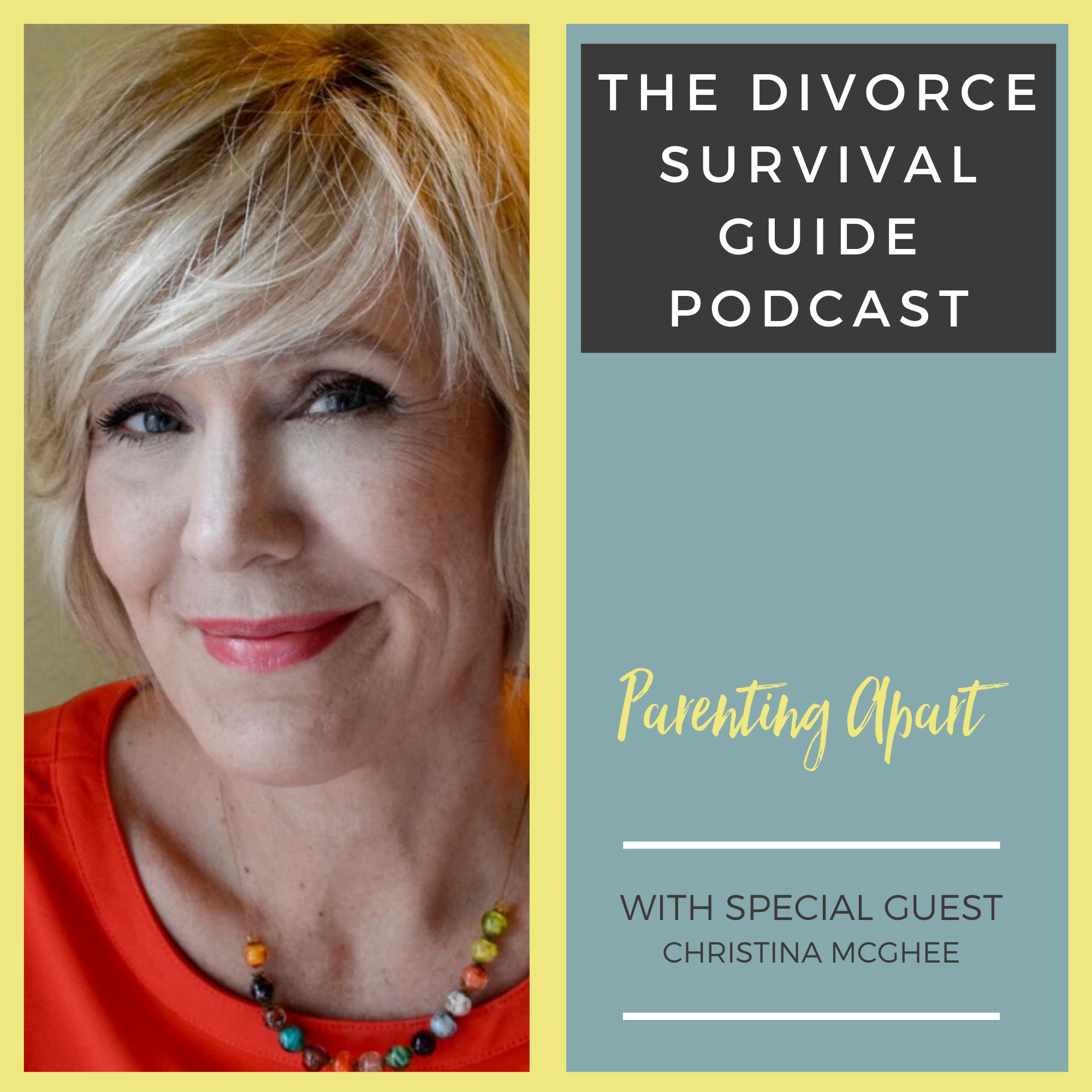 The Divorce Survival Guide Podcast