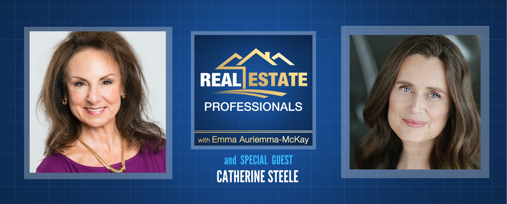 Real Estate Professionals - Property Sales Tactics for Realtors