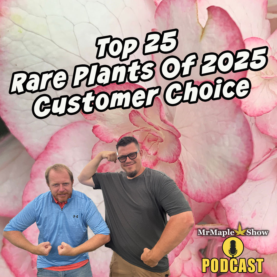 Top 25 Rare Plants Of 2025 Customer Choice | MrMaple Show Podcast
