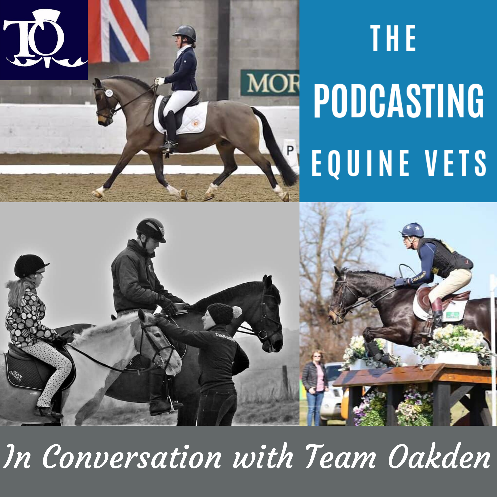 The Podcasting Equine Vets