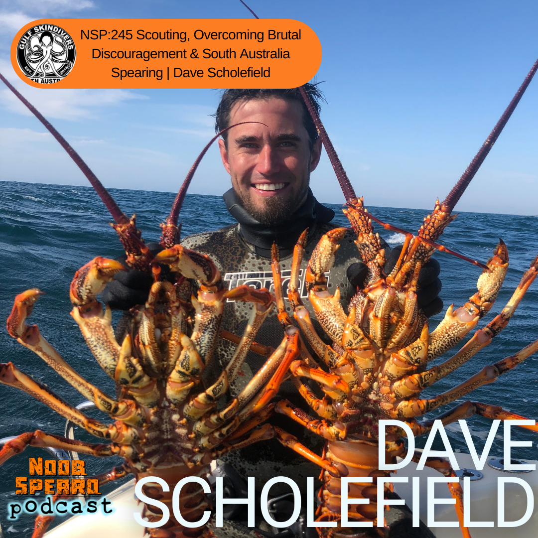 NSP:245 Scouting, Overcoming Brutal Discouragement & South Australia Spearing | Dave Scholefield