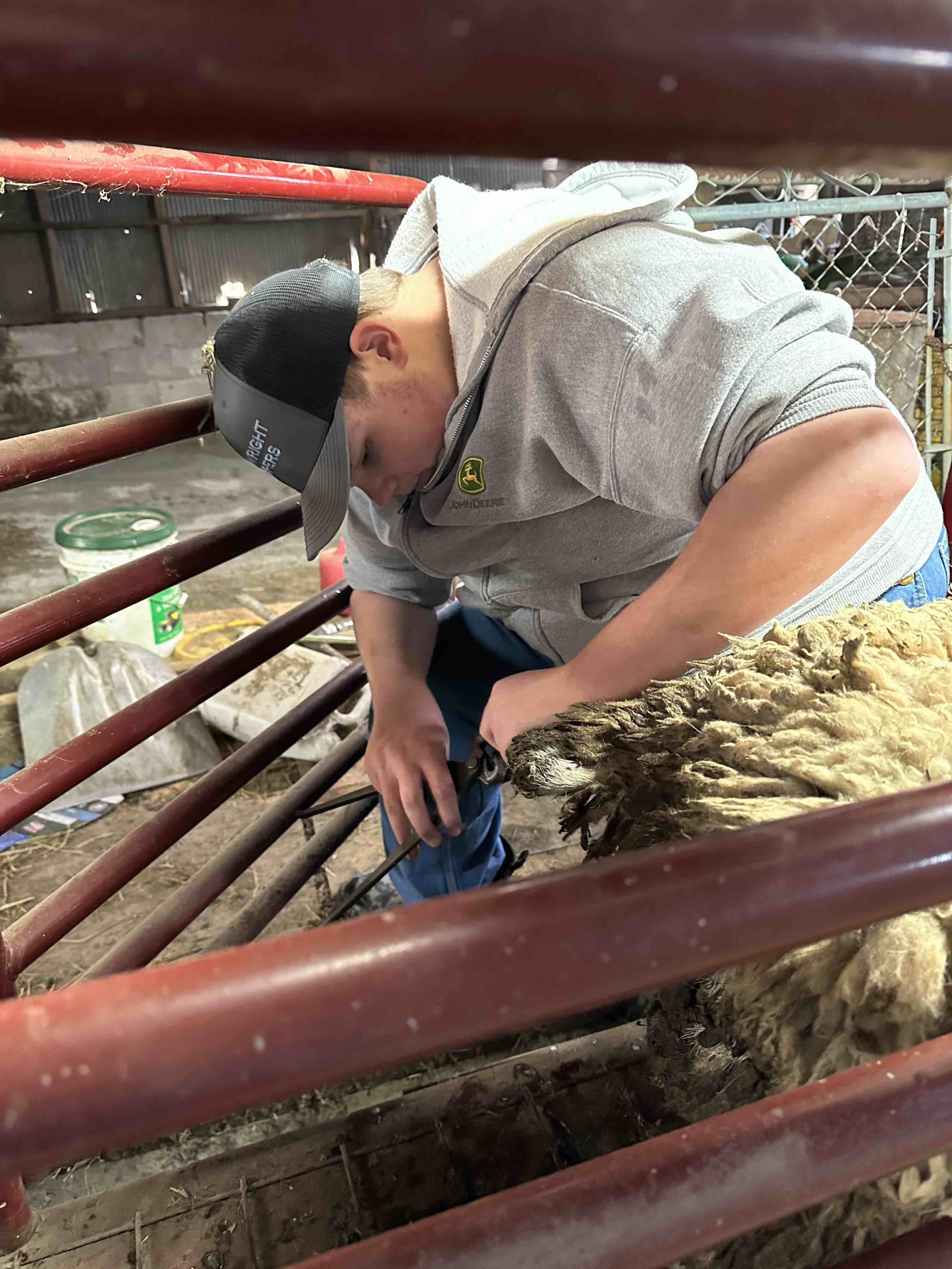 OFI 2003: Finding The Correct Species | FFA SAE Edition | Nate Crumbley | Nelson County High School FFA
