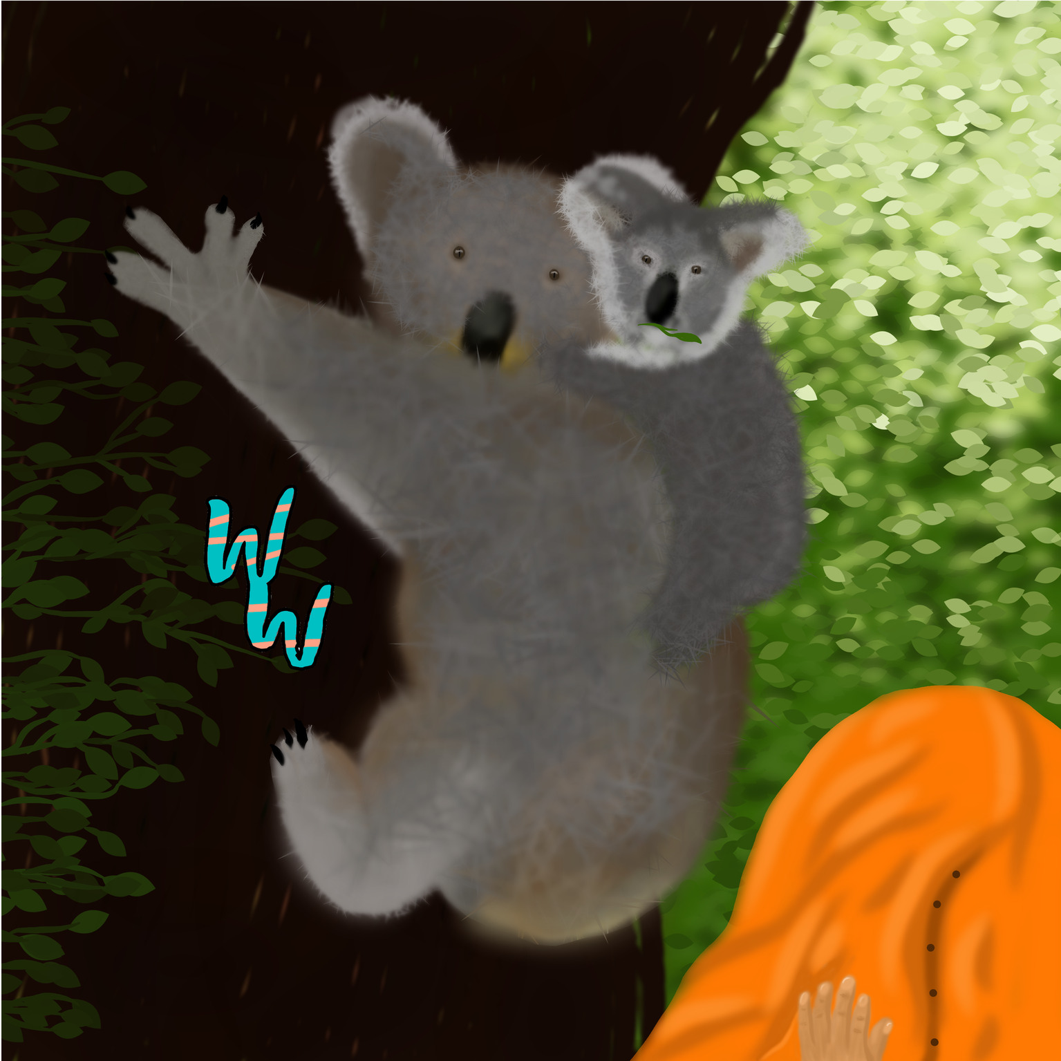 Koalas