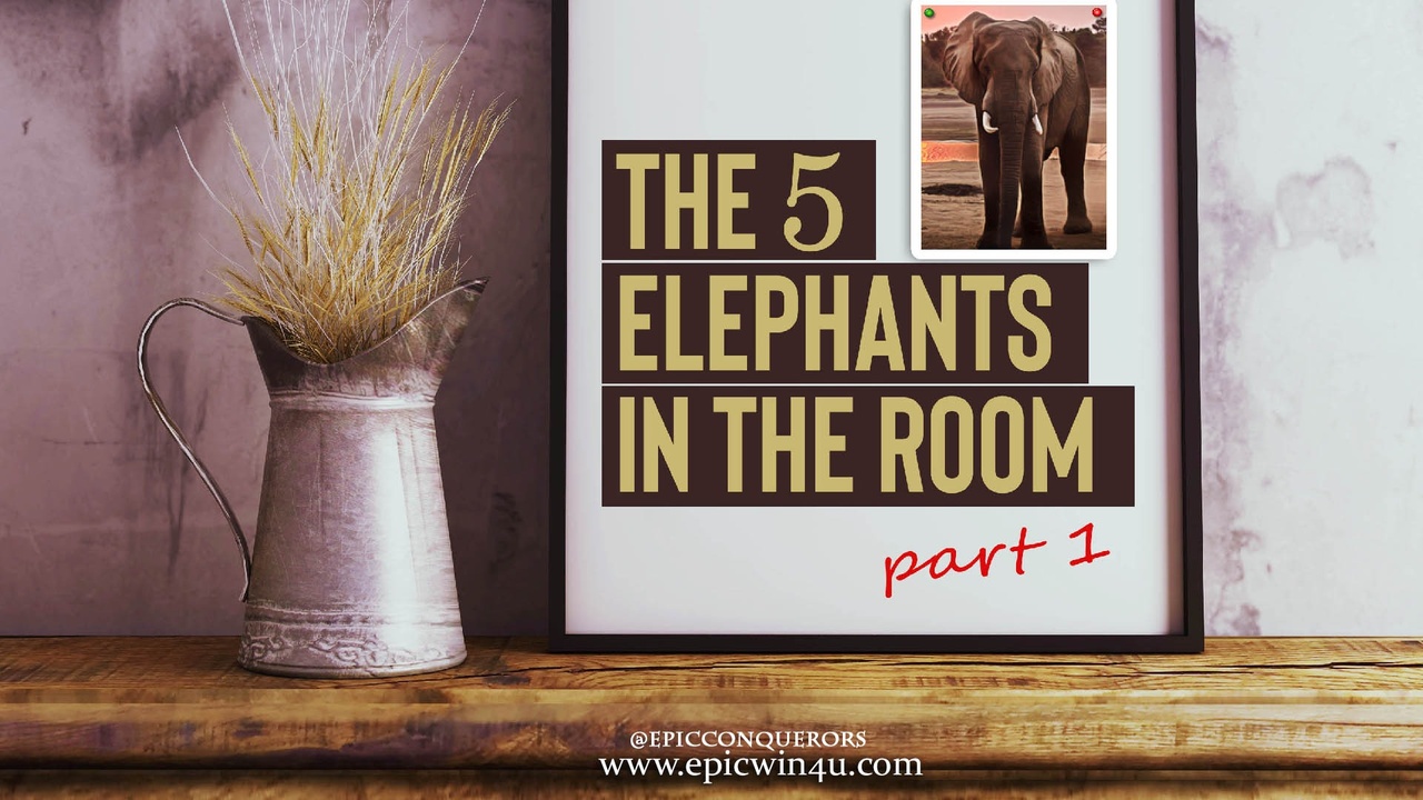 5 Elephants in the Room - Part 1