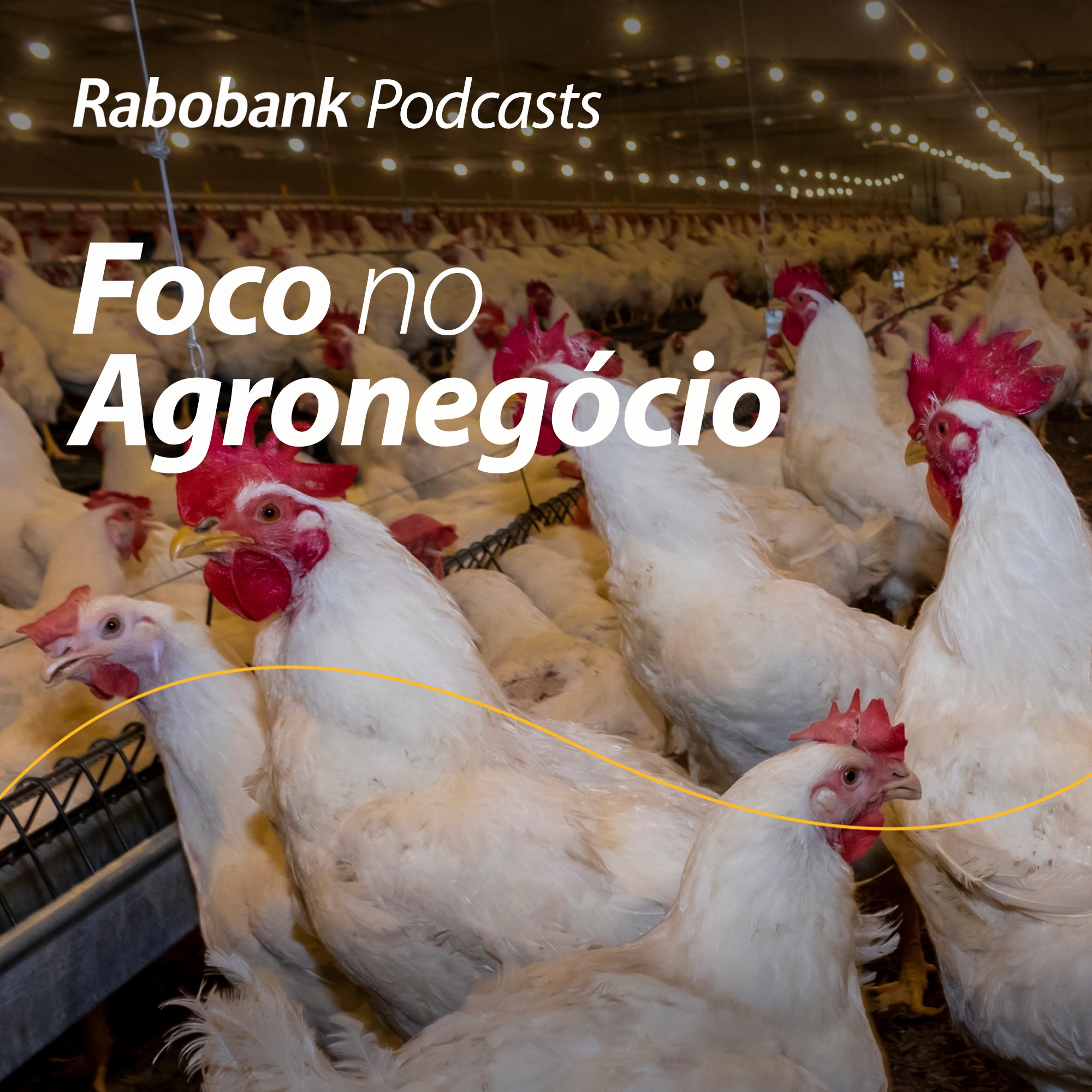 Olho no Mercado – Primeiro caso de gripe aviária em granja comercial