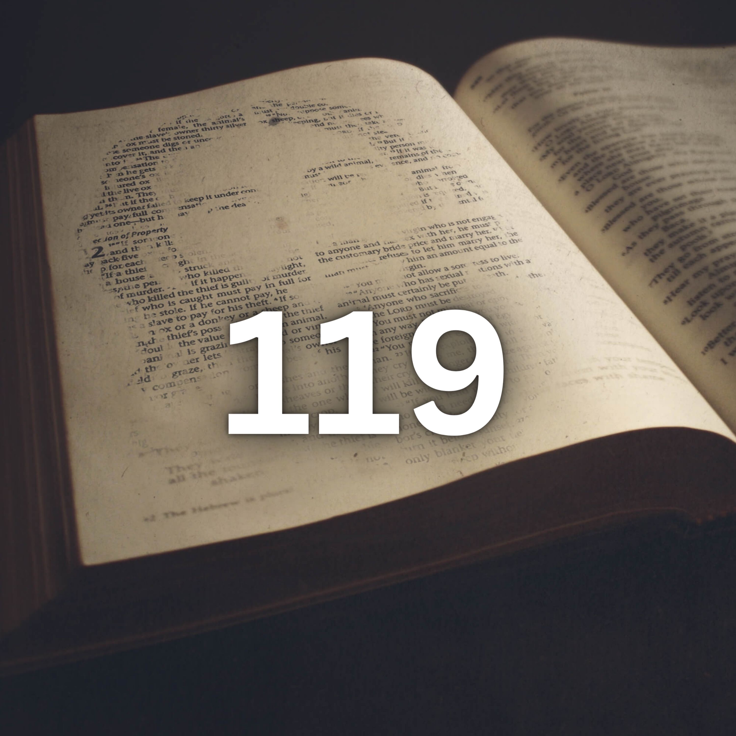 Walking With The Word | The Bible In 365