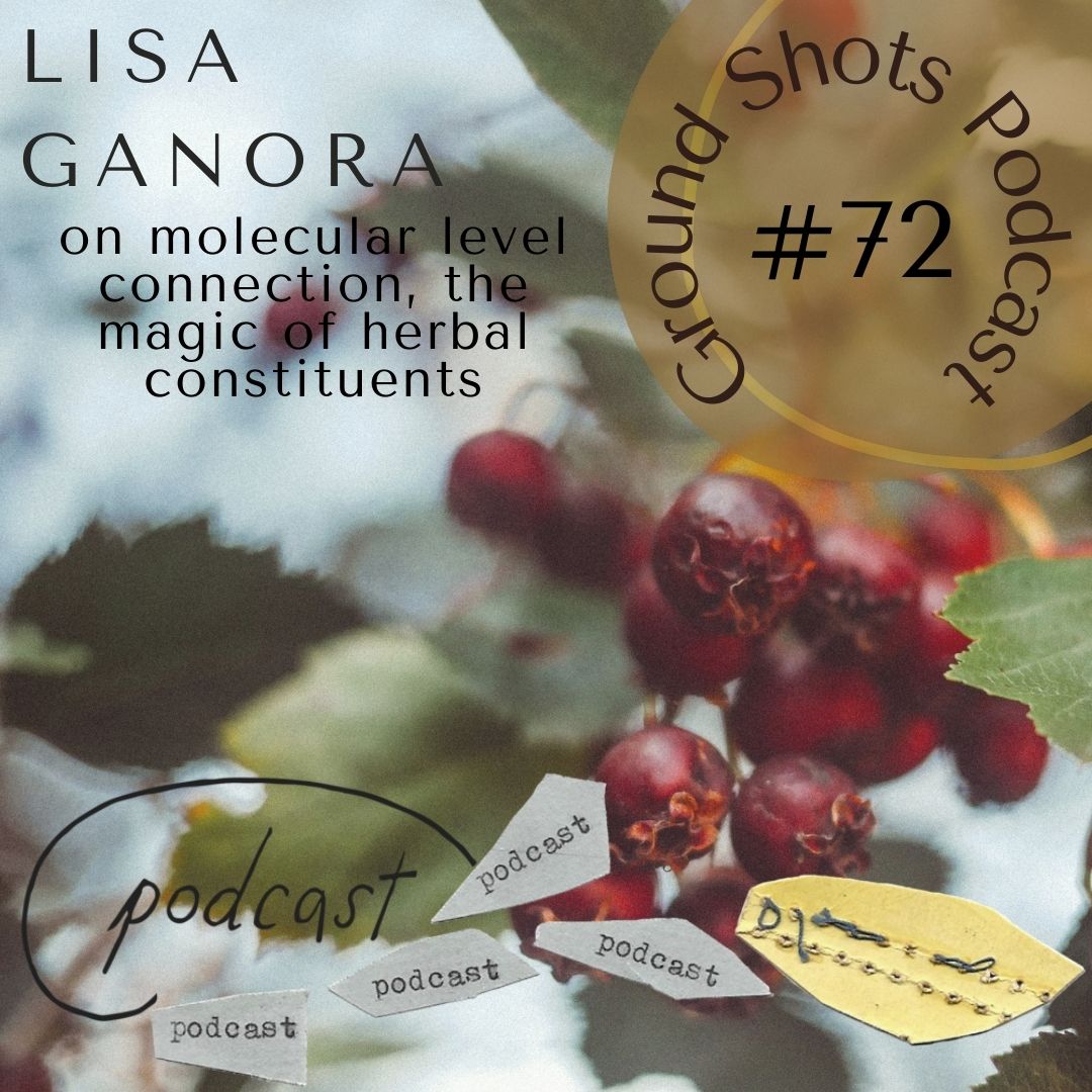 Lisa Ganora on molecular level connection, the magic of herbal constituents