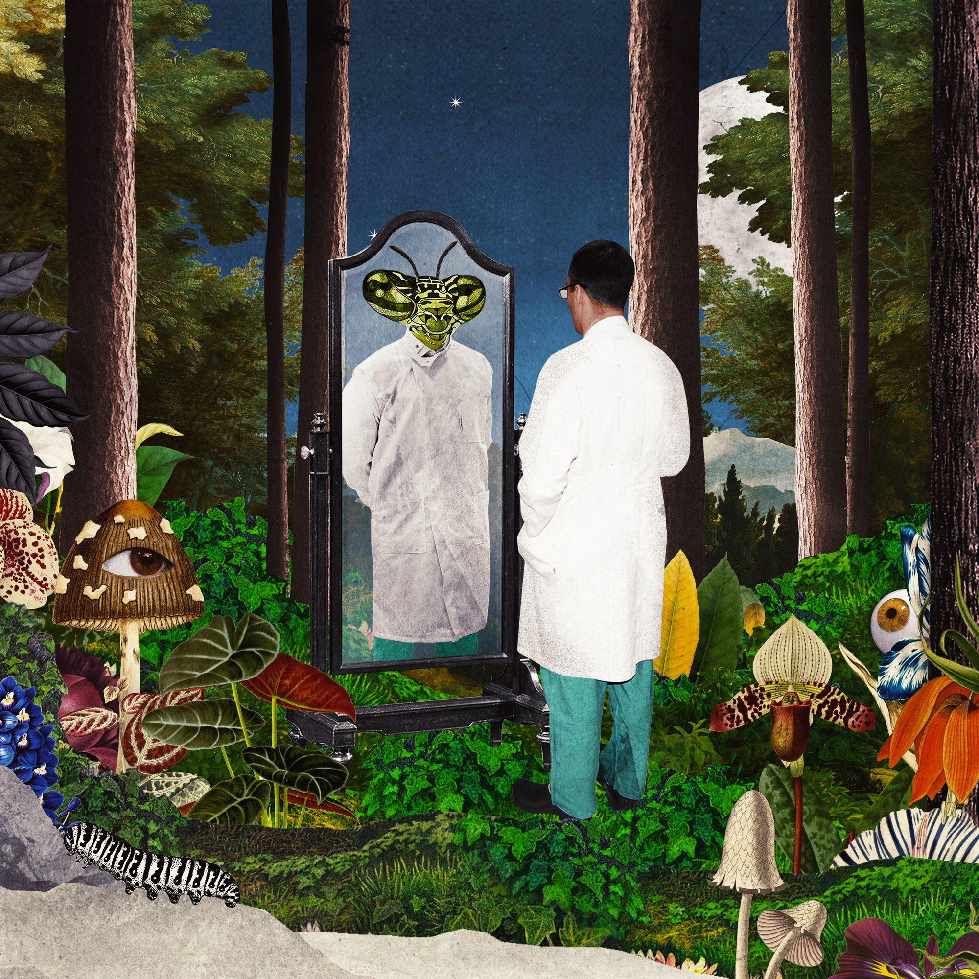 2 - Shame in Medicine: The Ideal Doctor