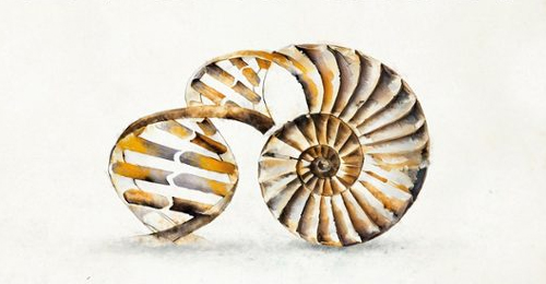 Las edades de la evolución. Hablamos con Jordi Agustí