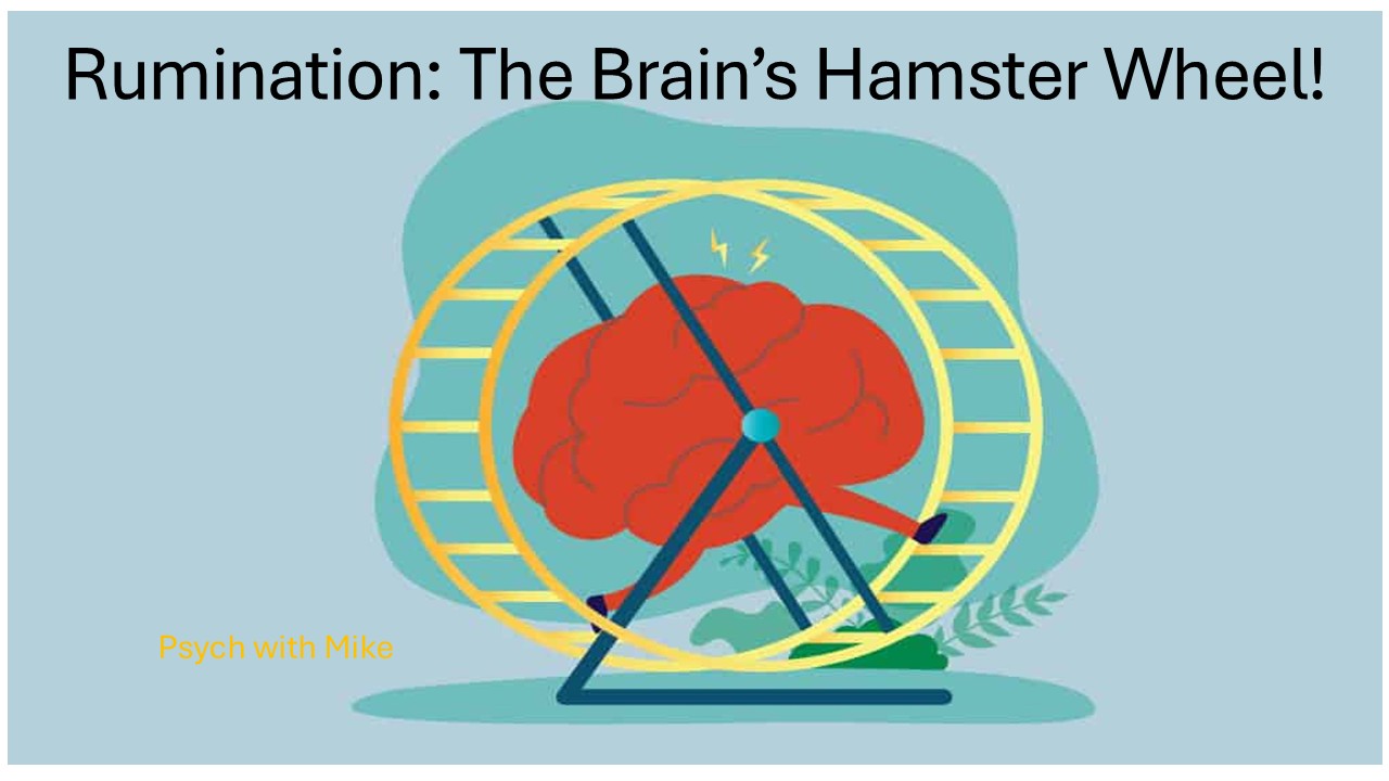 Rumination: The Brain's Hamster Wheel