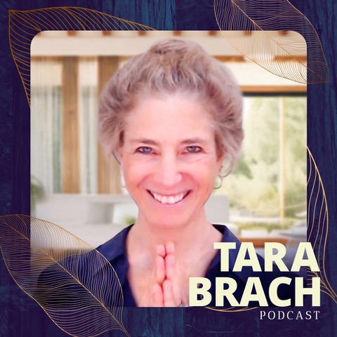 Meditation: Receiving This Life in Awareness (22:37 min) podcast episode