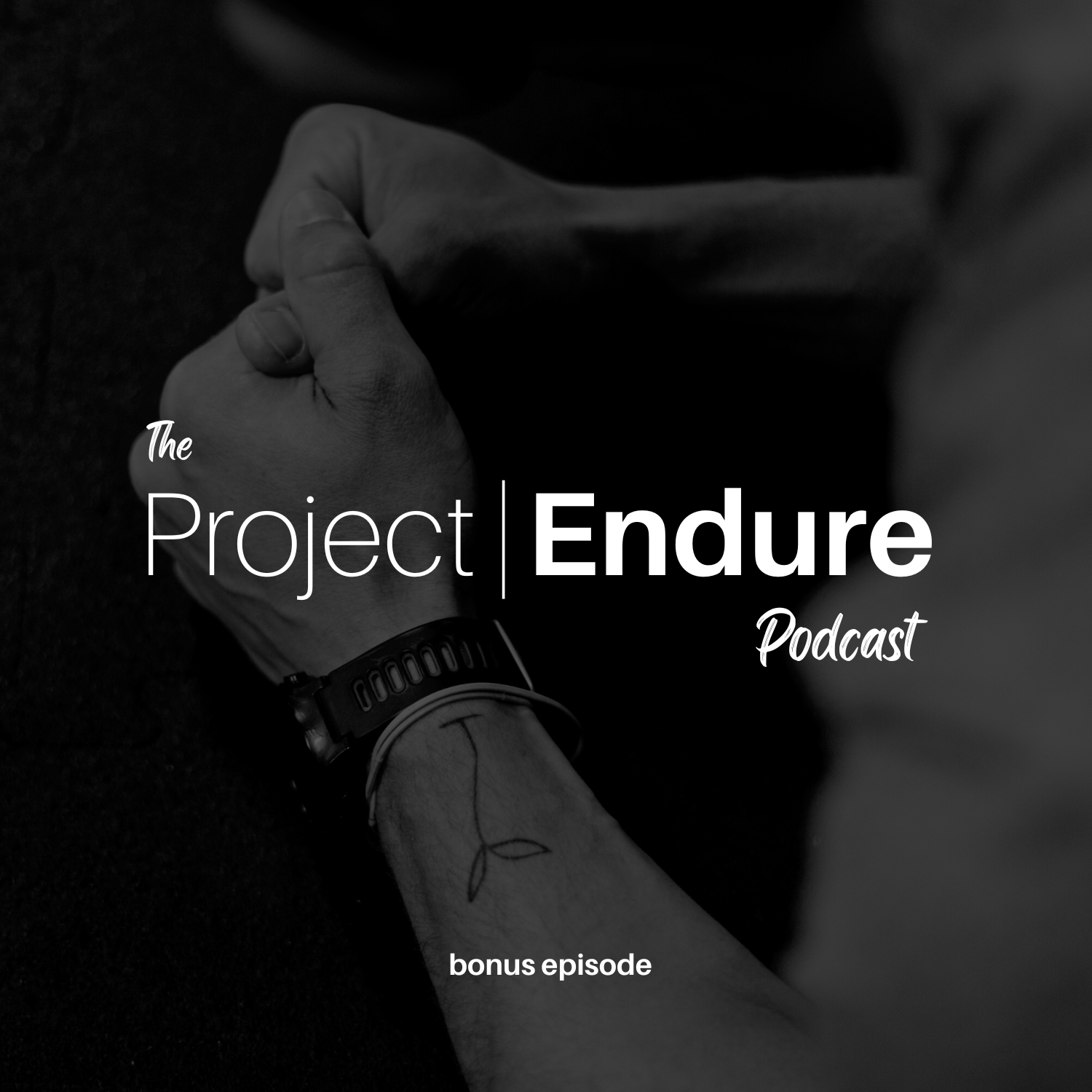 Project Endure Podcast