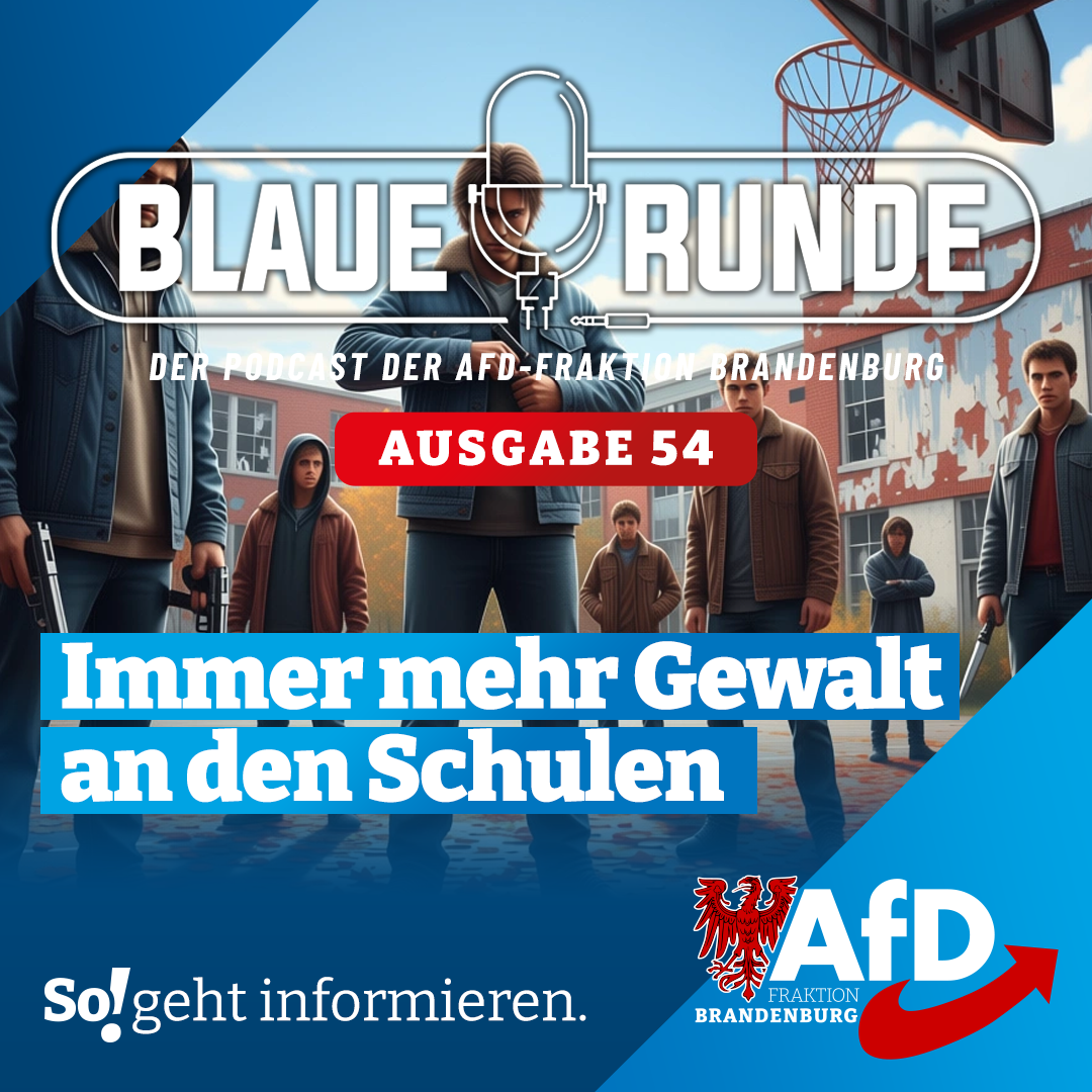 Die Blaue Runde - der Podcast der AfD-Fraktion Brandenburg