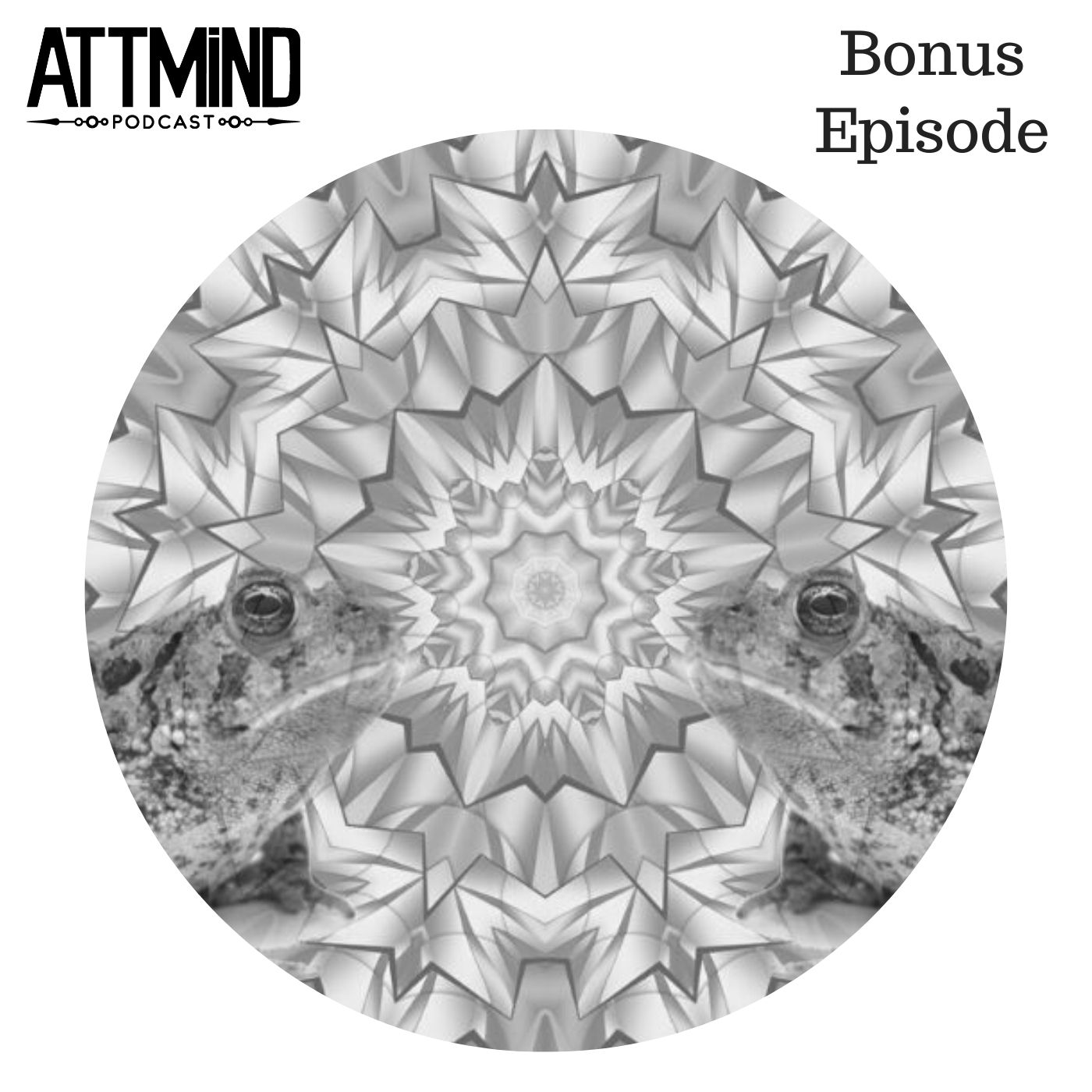 Adventures Through The Mind