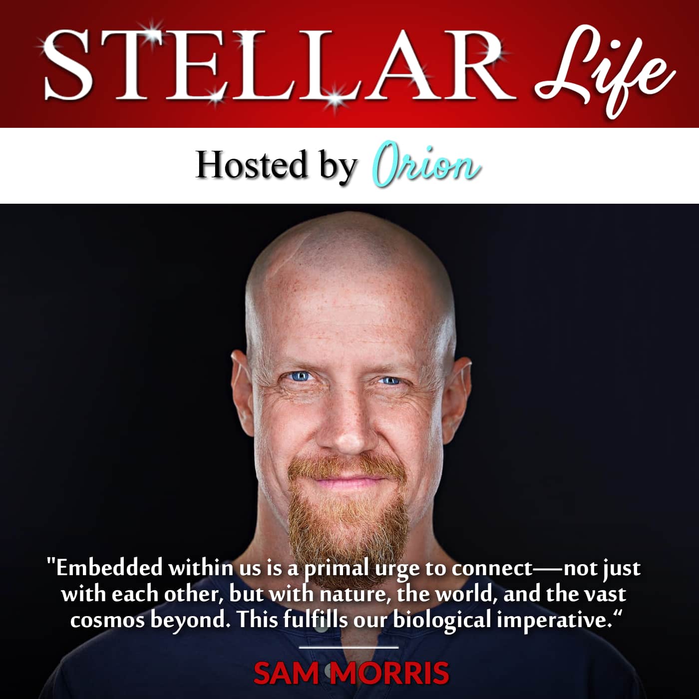 357.  Zen Wisdom for Modern Life: Thriving Through Challenging Times with Sam Morris