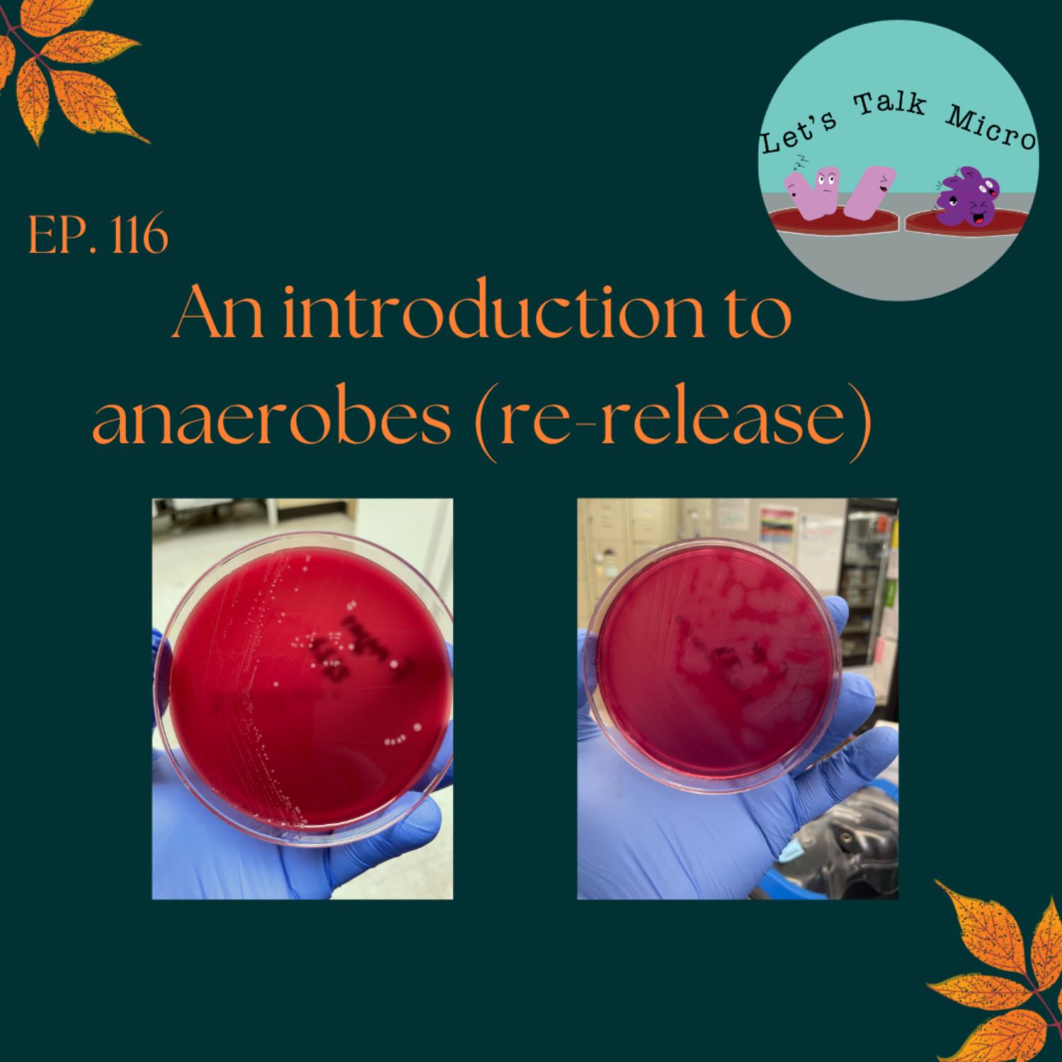 116: An introduction to anaerobes (re-release)