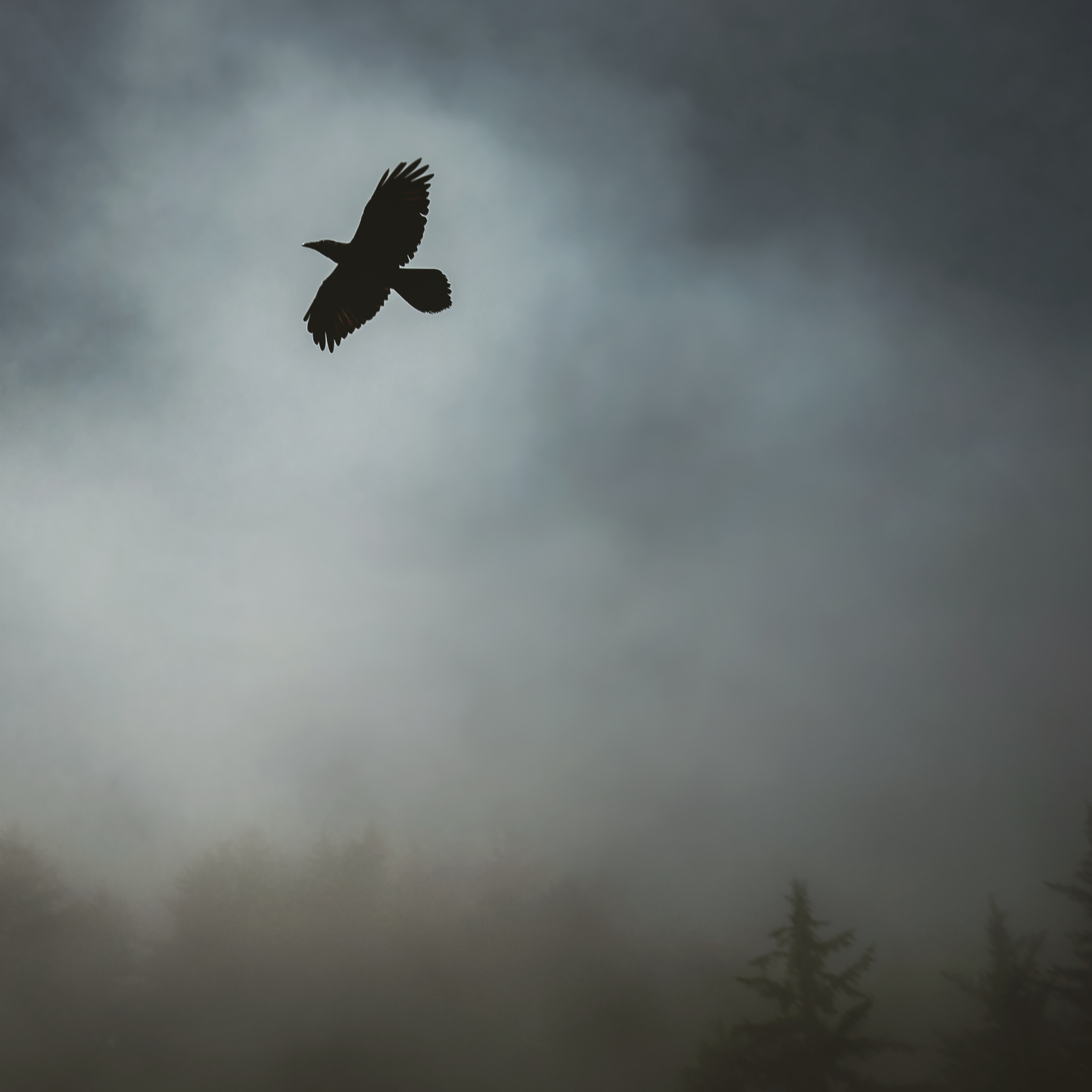 Getting Through Hard Times - Guided Meditation