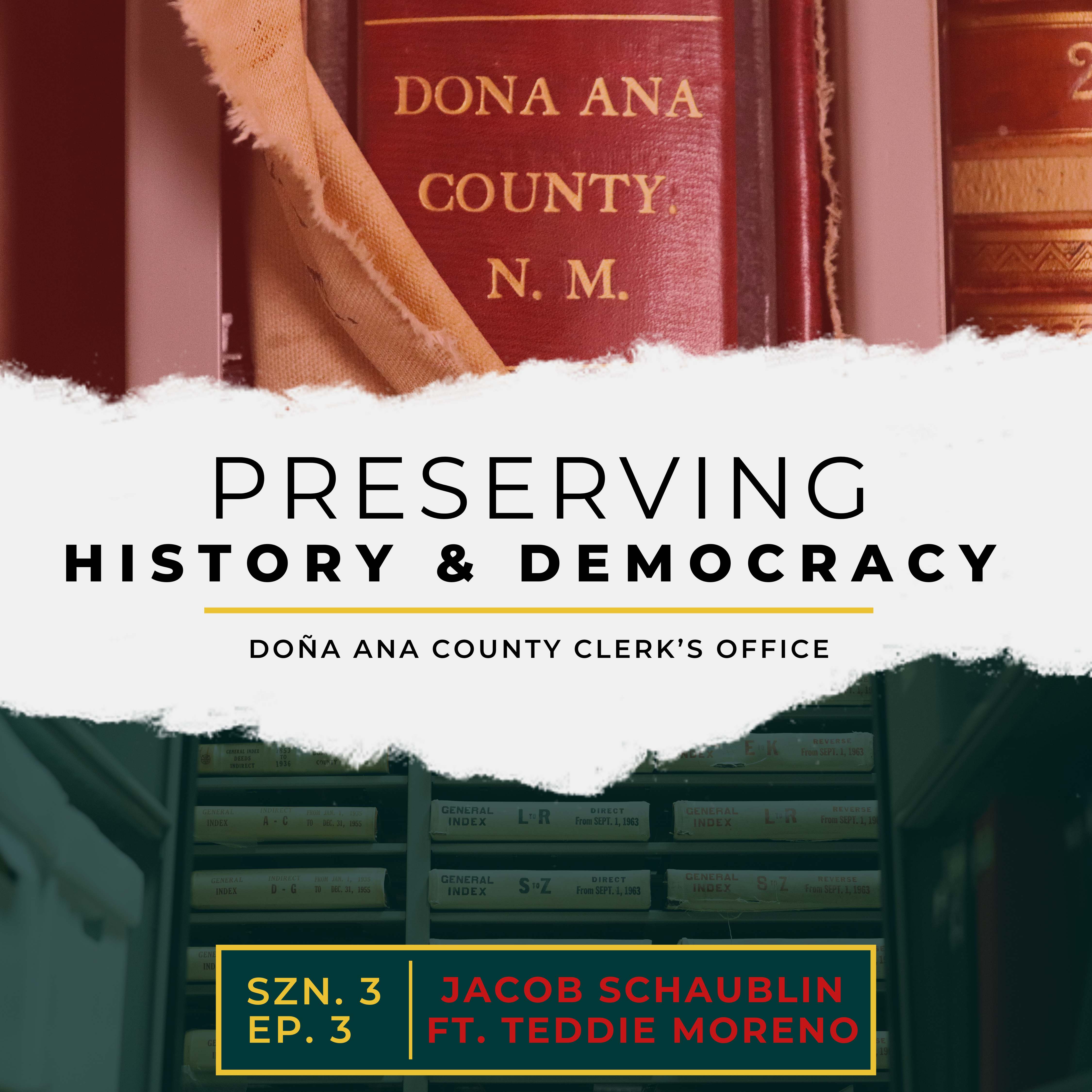 Preserving History and Democracy