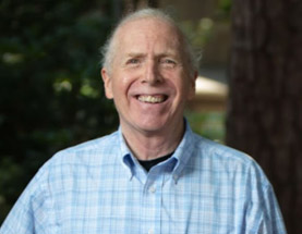 Cure Your Fatigue: Getting To The Root Cause Of Low Energy With Morley Robbins