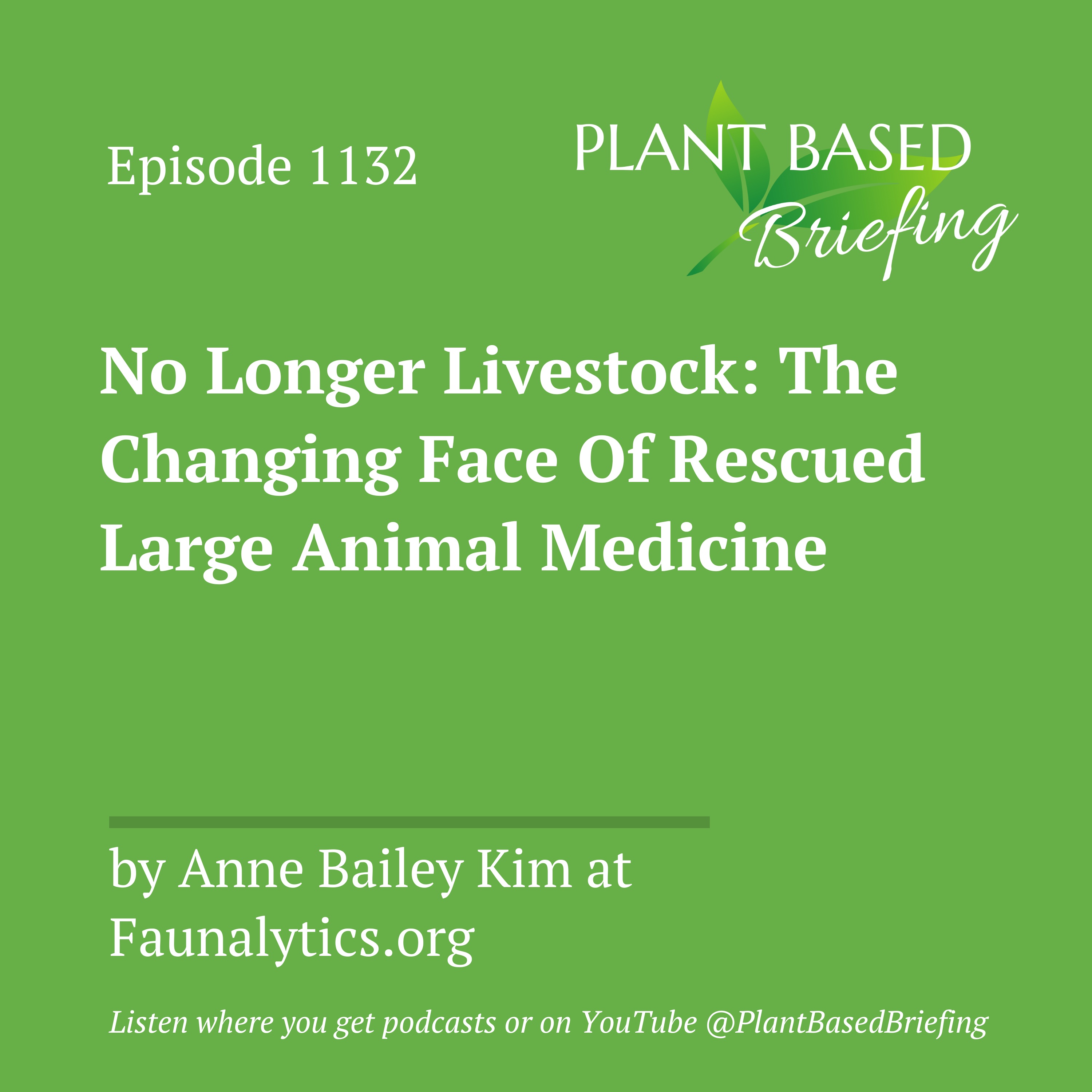1132: No Longer Livestock: The Changing Face Of Rescued Large Animal Medicine by Anne Bailey Kim at Faunalytics.org