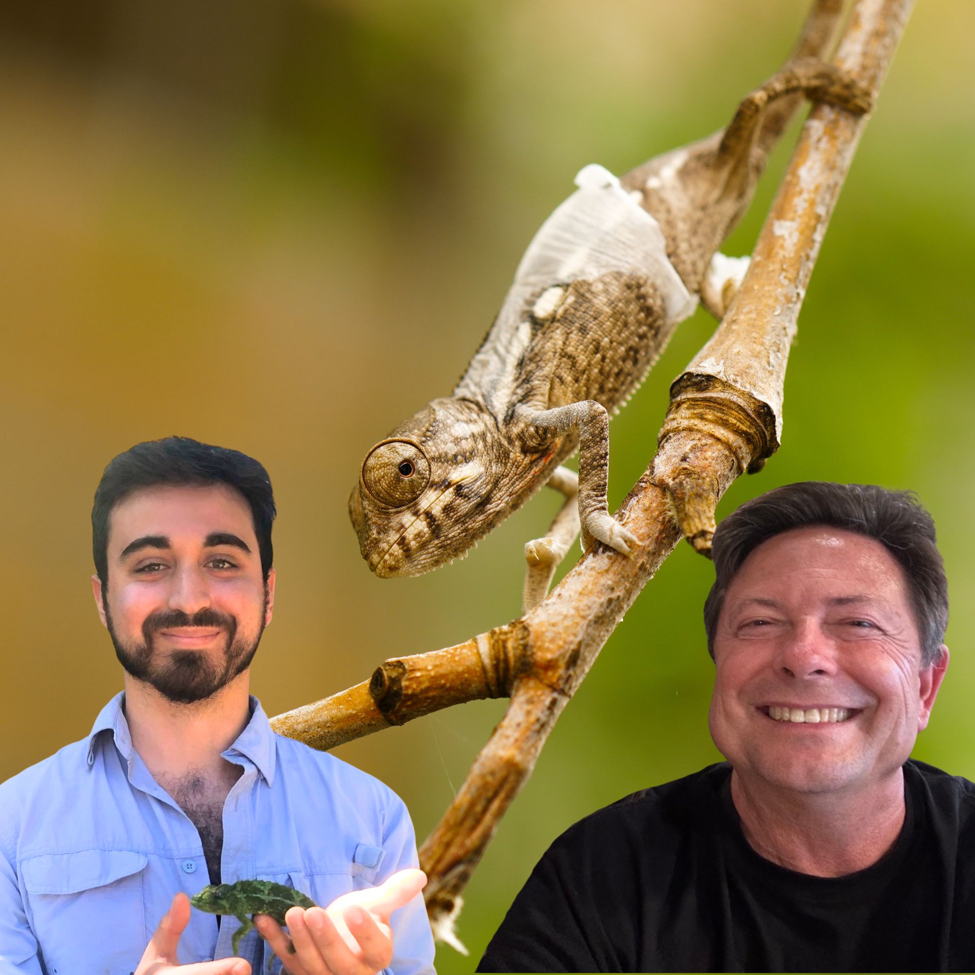 Mini-Chameleon Podcast host, Dr. Michael Nash