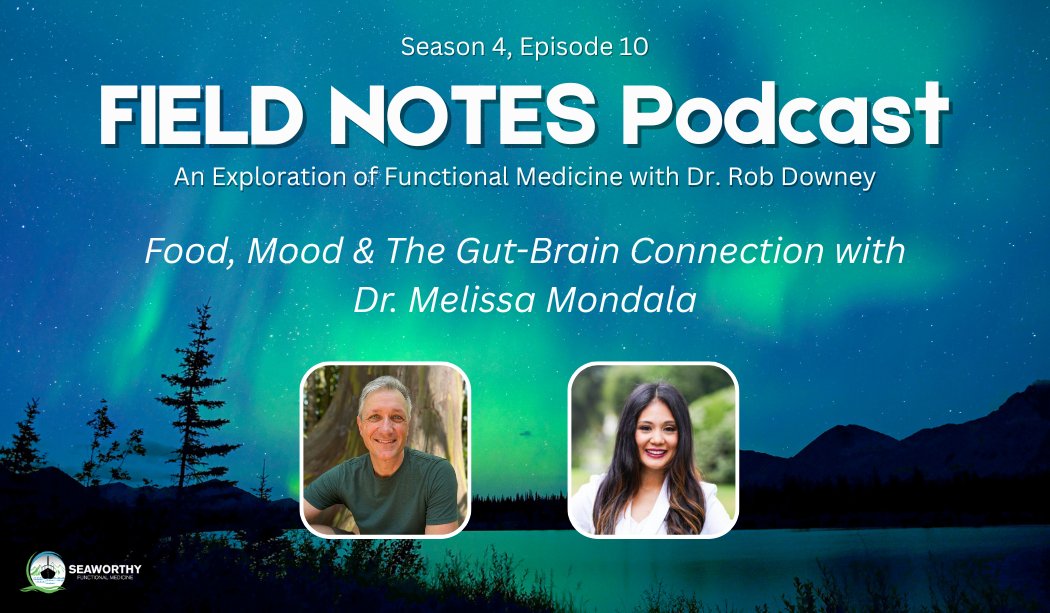 Food, Mood & The Gut-Brain Connection with Dr. Melissa Mondala