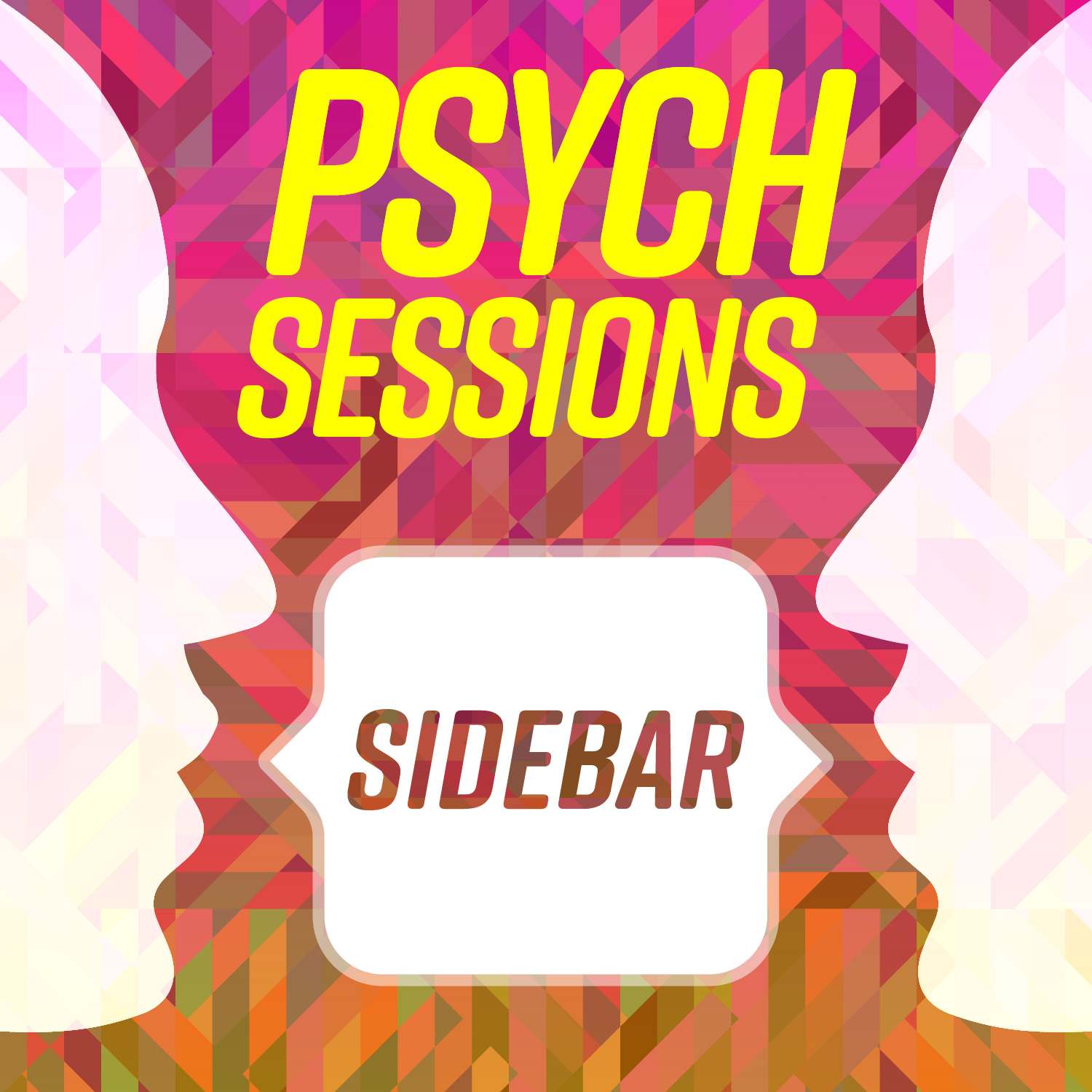 Sidebar 30: Drew Christopher's STP Presidential Year