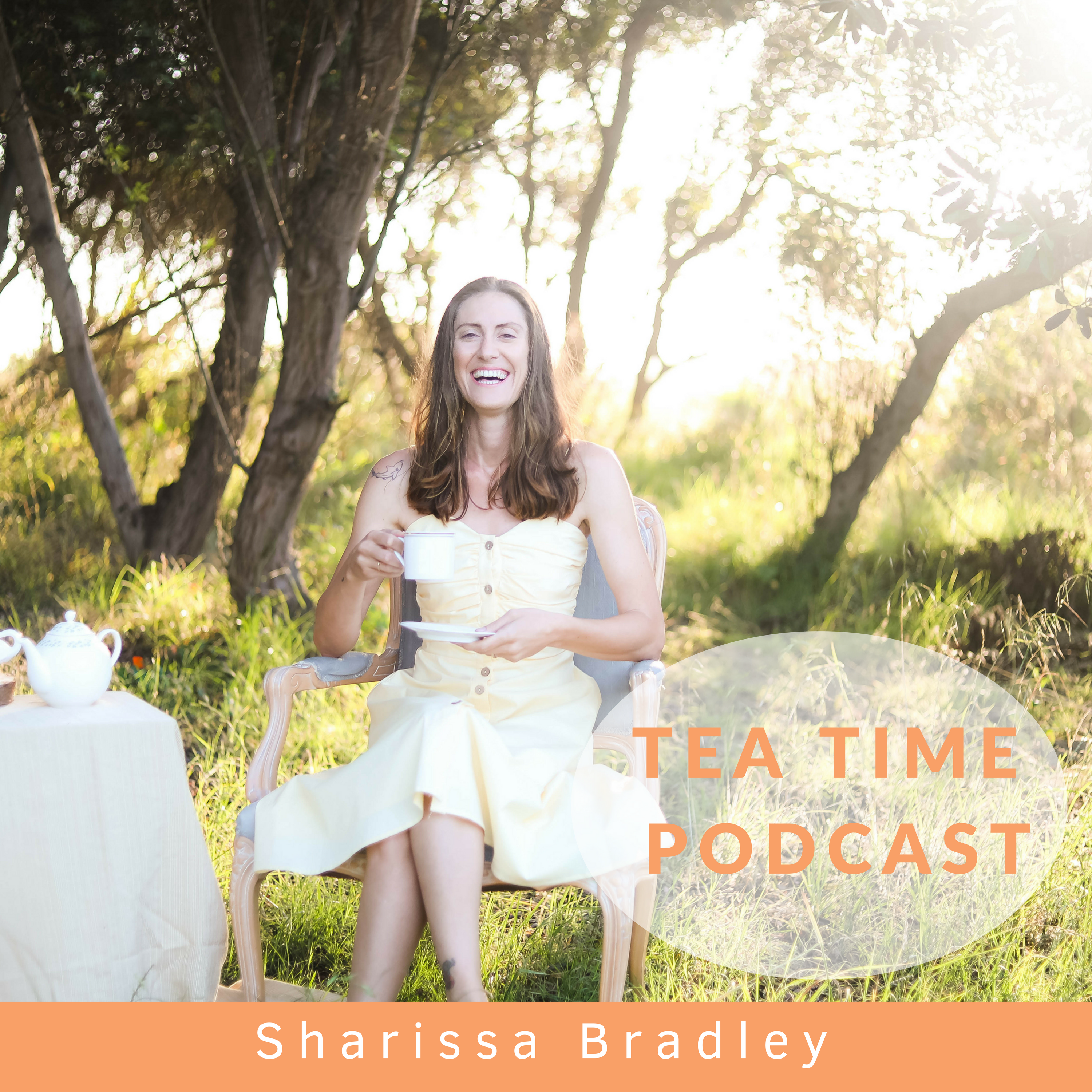 The Effects of Stress on the Healing Body