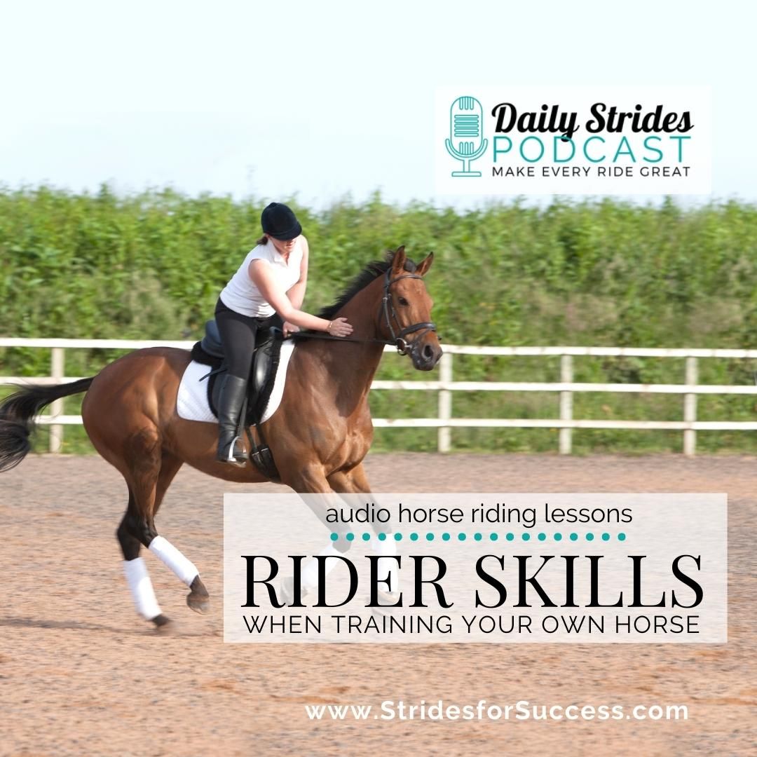 Rider Skills Necessary to Train or Retrain Your Horse