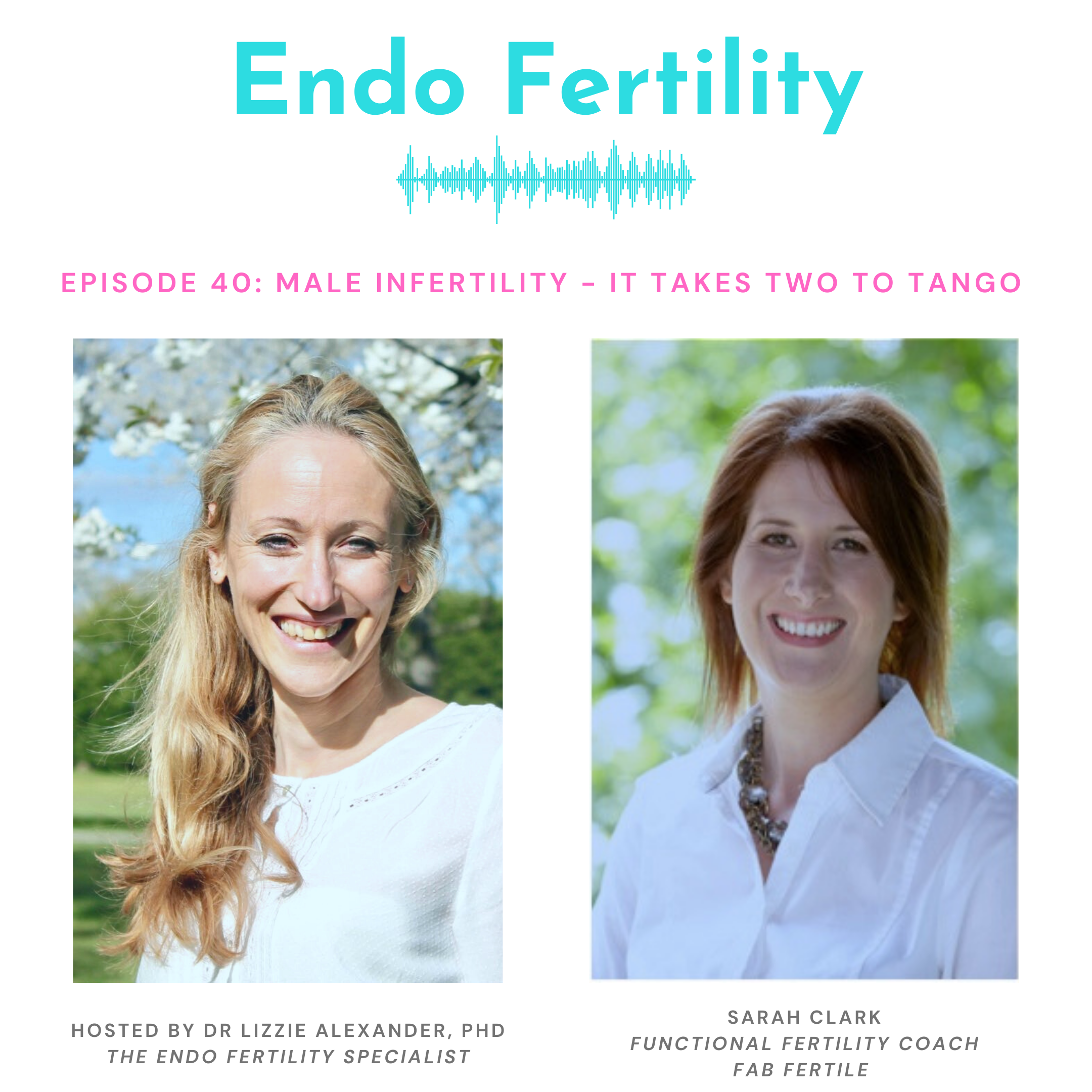 Endo Fertility
