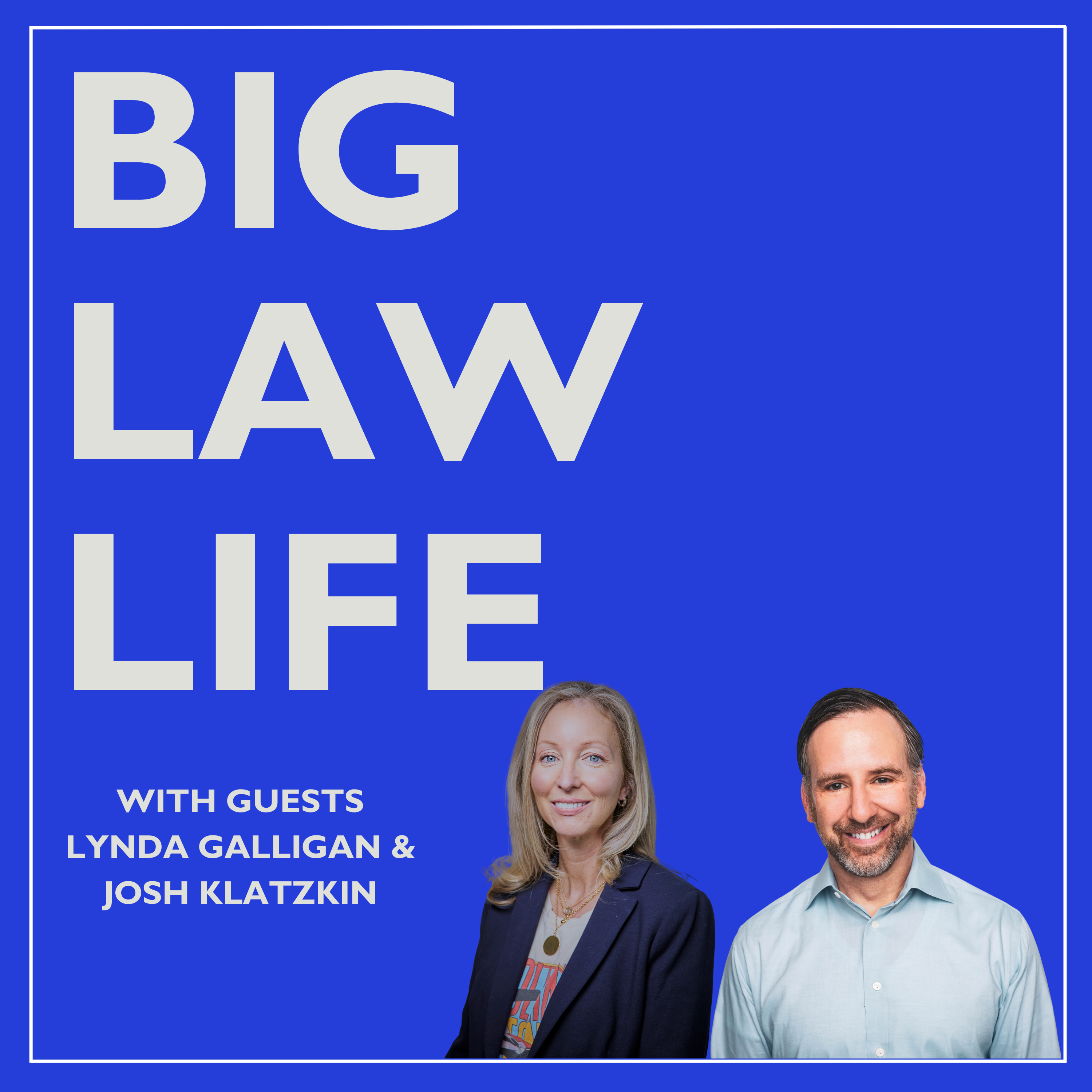 Big Law Life