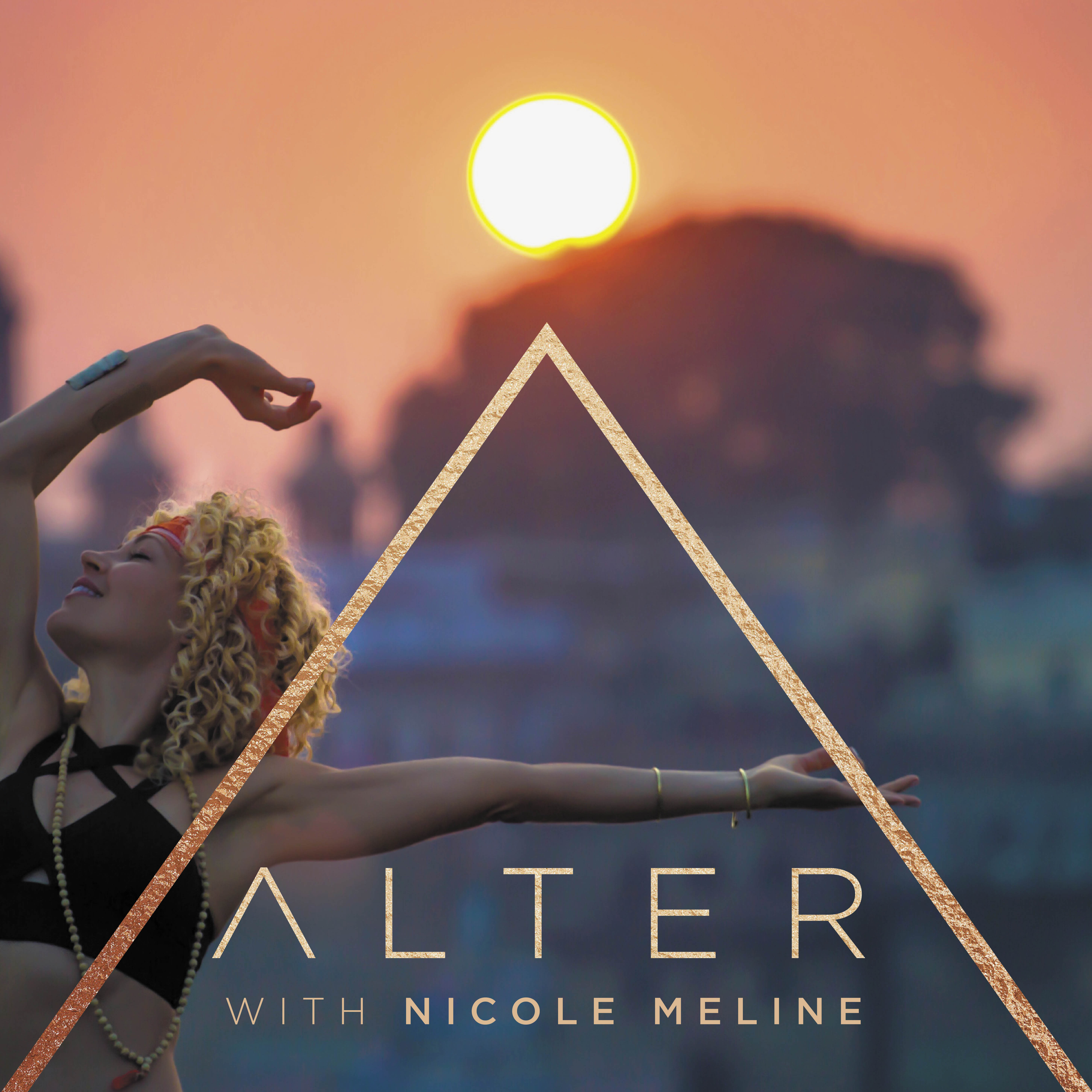 The Mislead - Field Notes from 40
