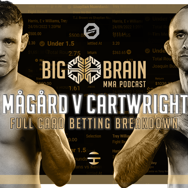 Big Brain MMA Podcast