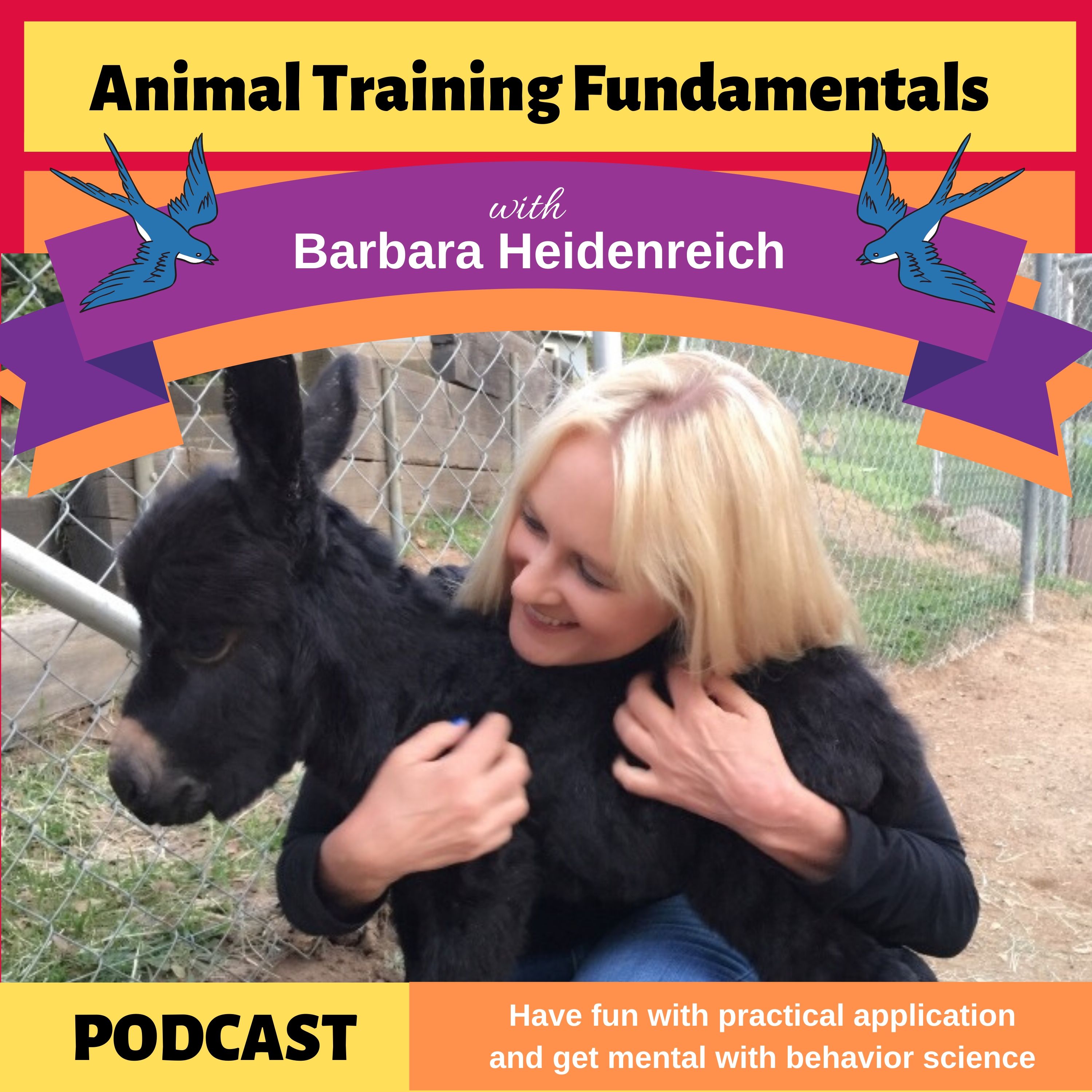 Animal Training Fundamentals with Barbara Heidenreich