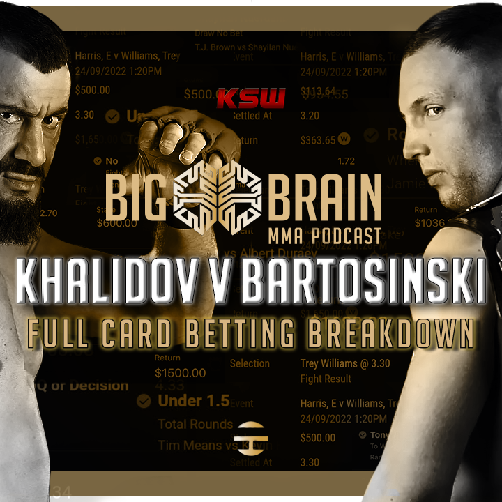 Big Brain MMA Podcast