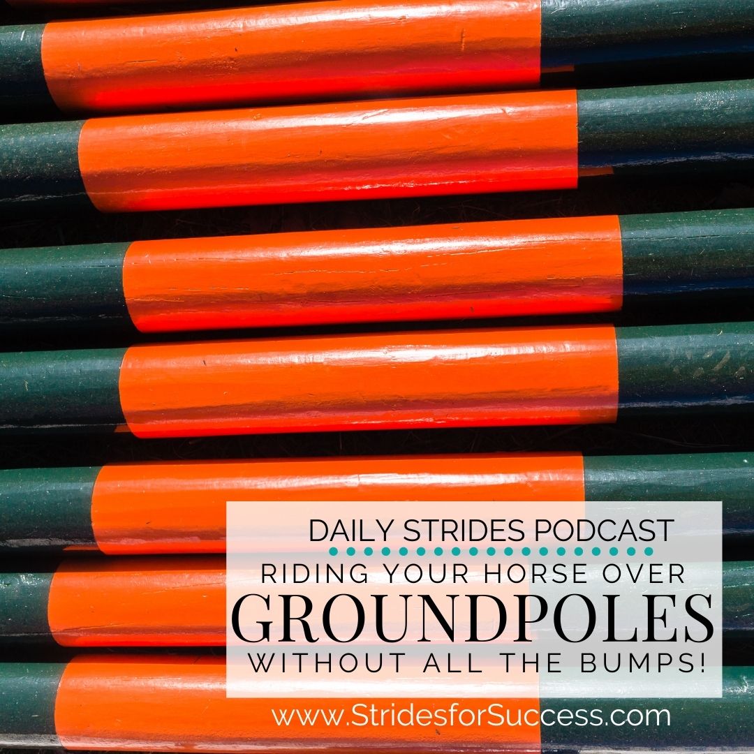 Fixing Your Position for Less 'Bump' When Horse Riding Over Groundpoles