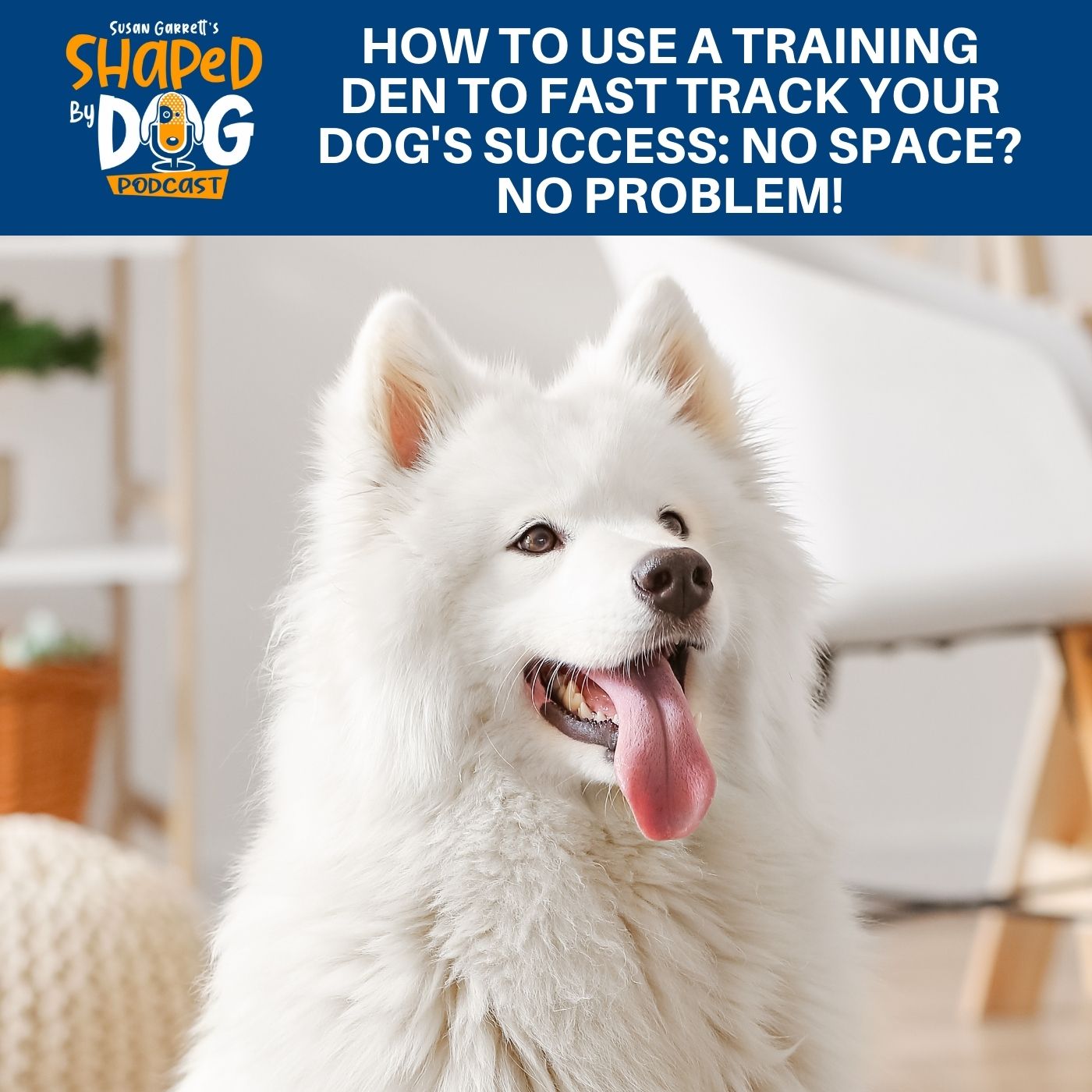Shaped by Dog with Susan Garrett