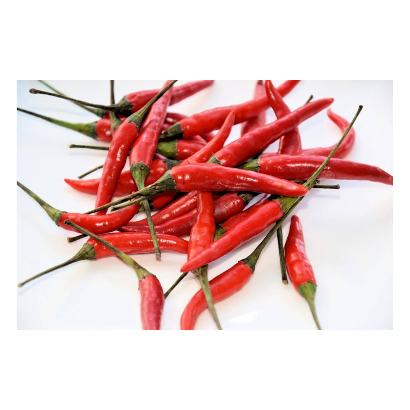 Medicine That’s a Spice of Life
