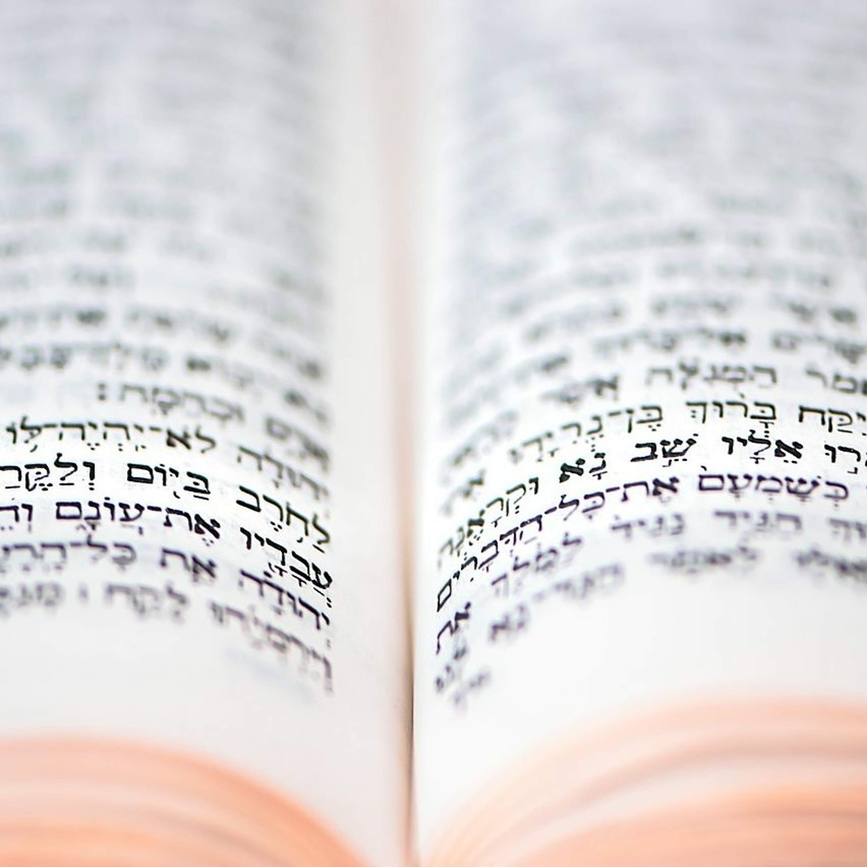 Rav Daniel Kohn הרב דניאל כהן