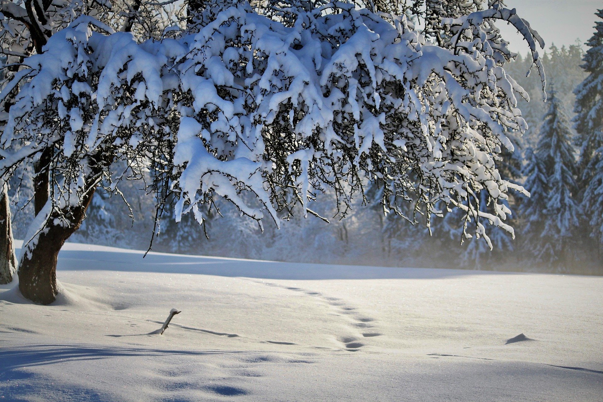 The Snow Maiden - A Russian Folktale