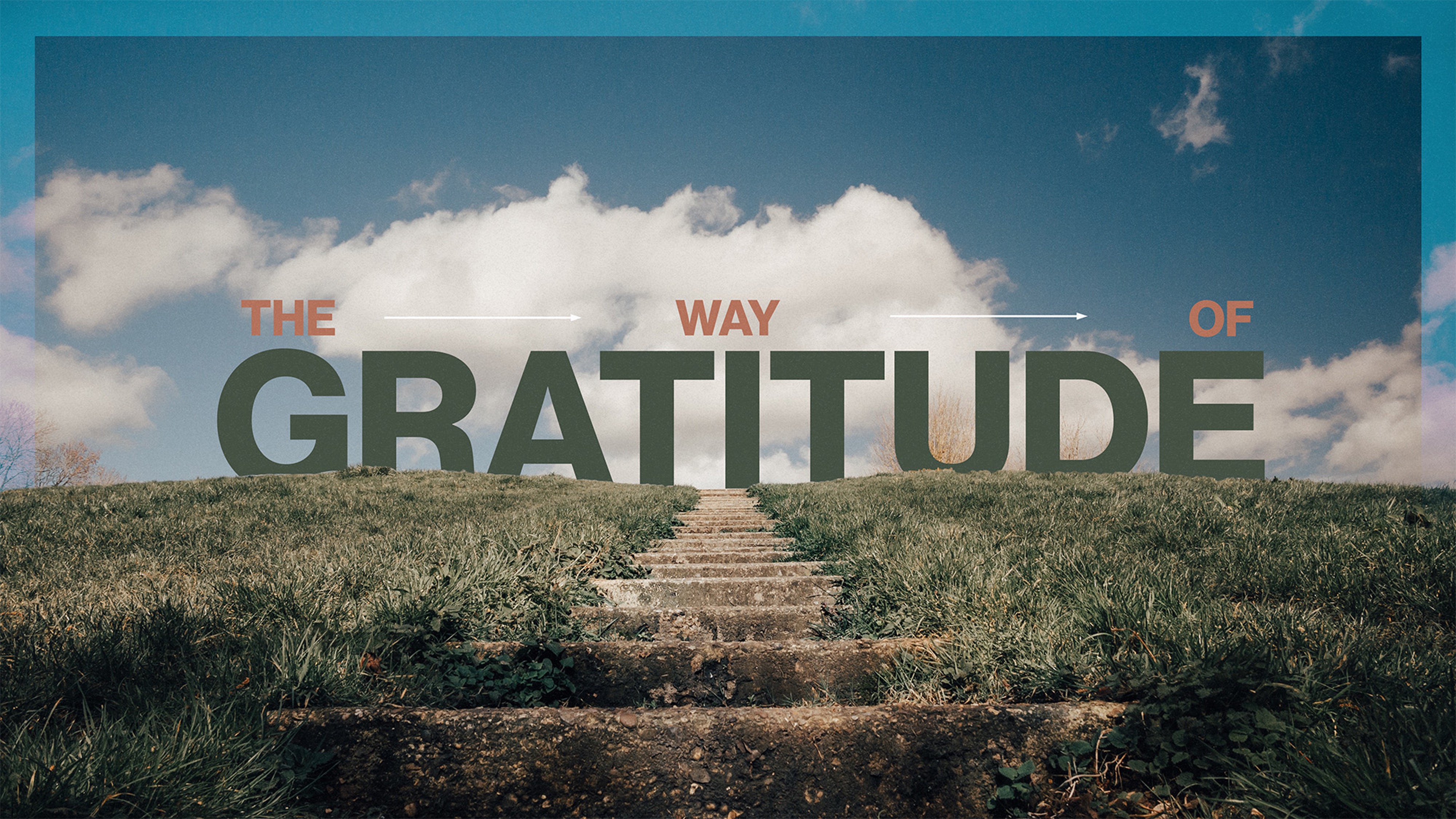The Way of Gratitude #2 - Transformed Through Gratitude