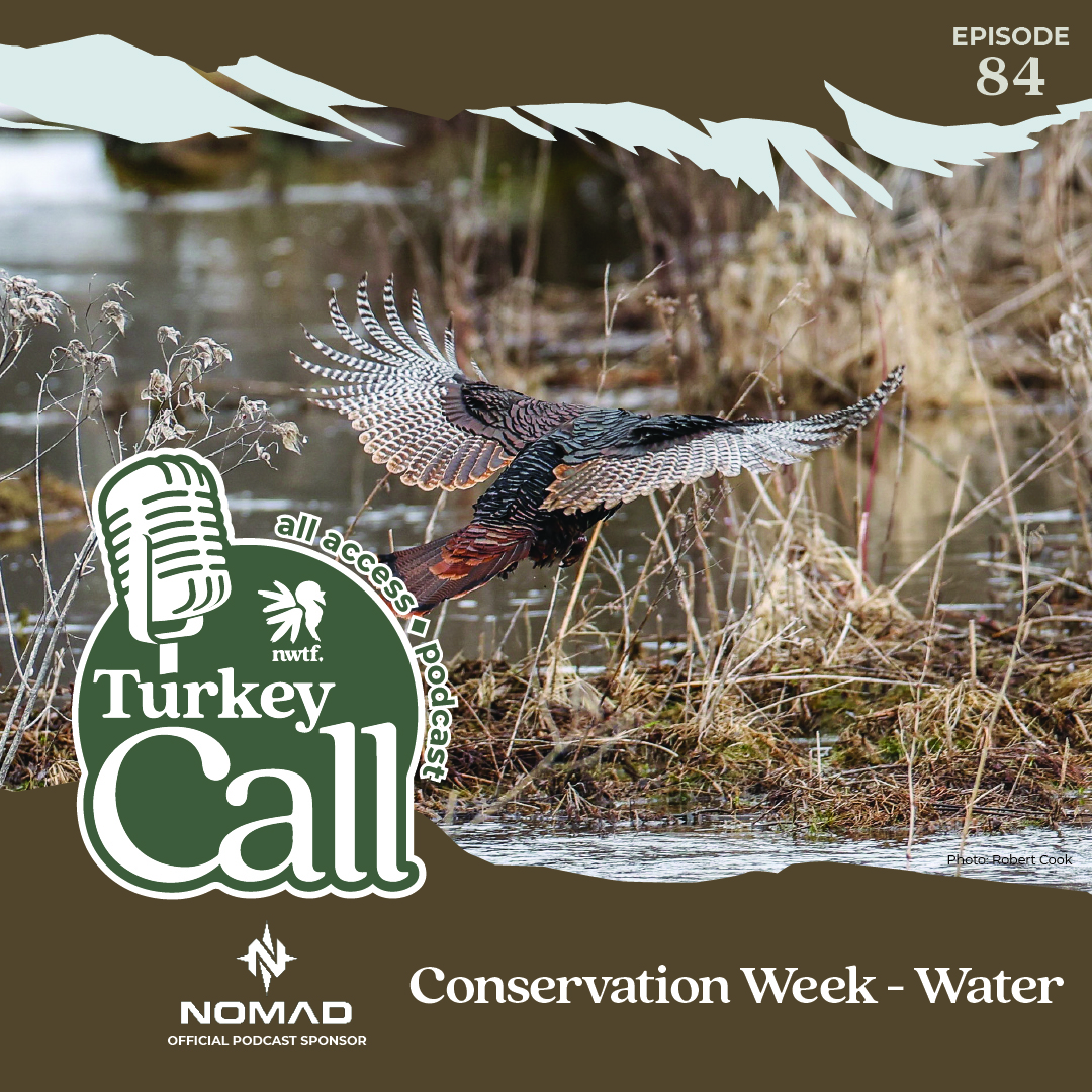 Turkey Call All Access