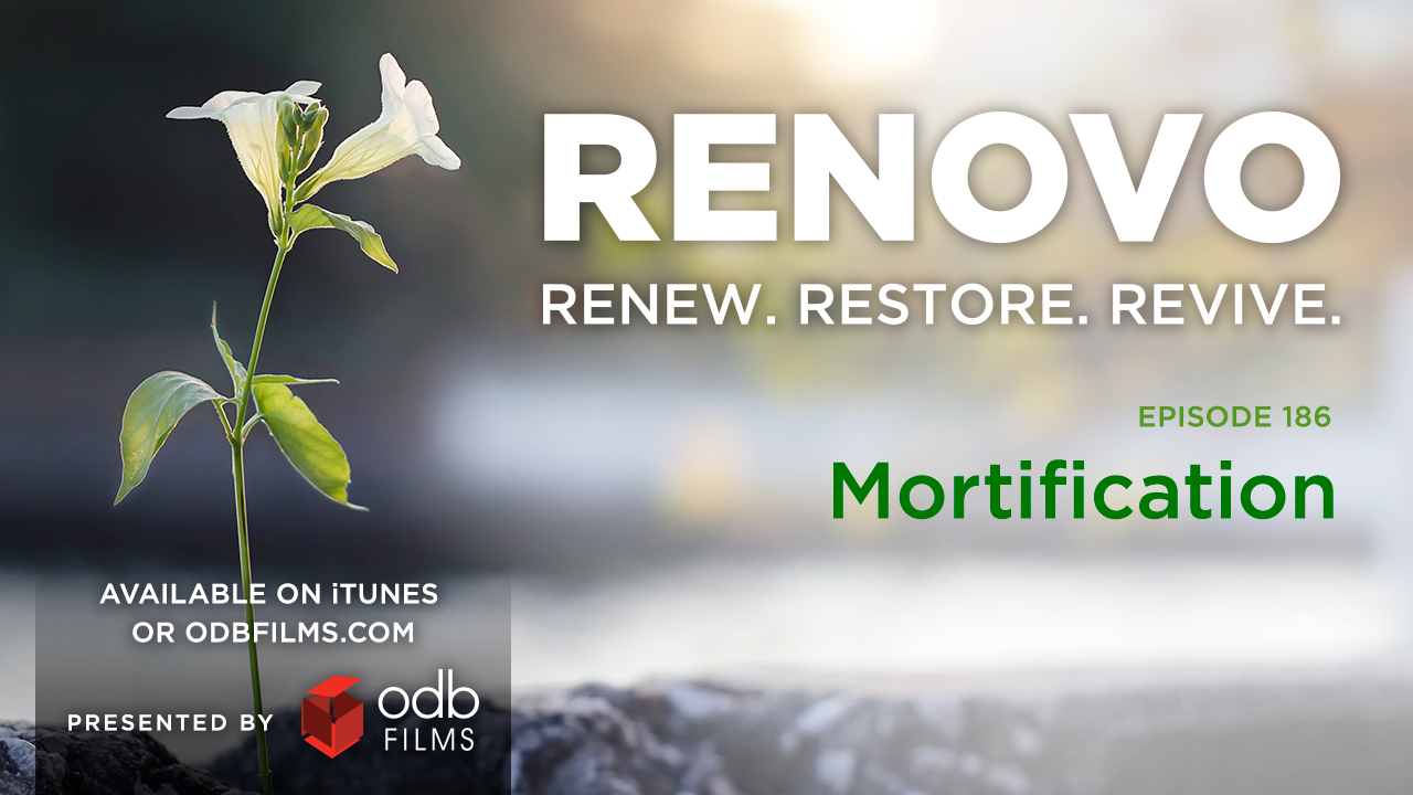 Renovo Podcast