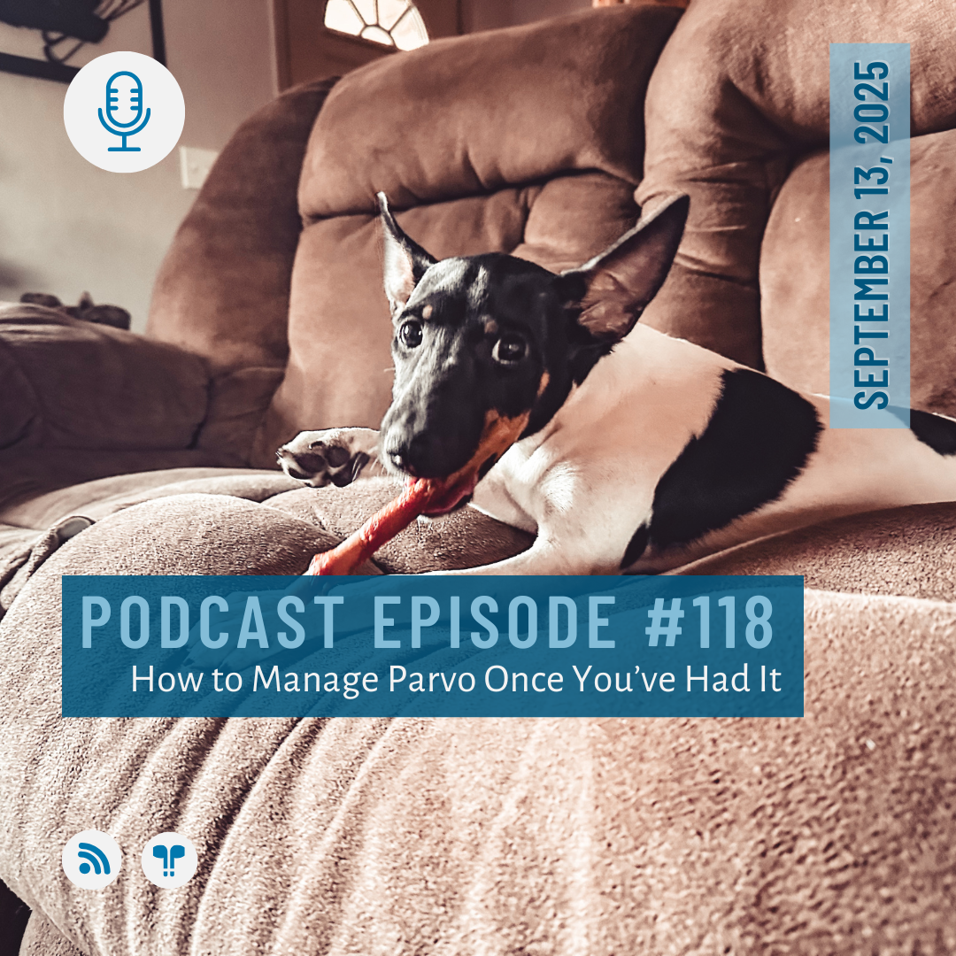 #118 - How to Manage Parvo Once You've Had It