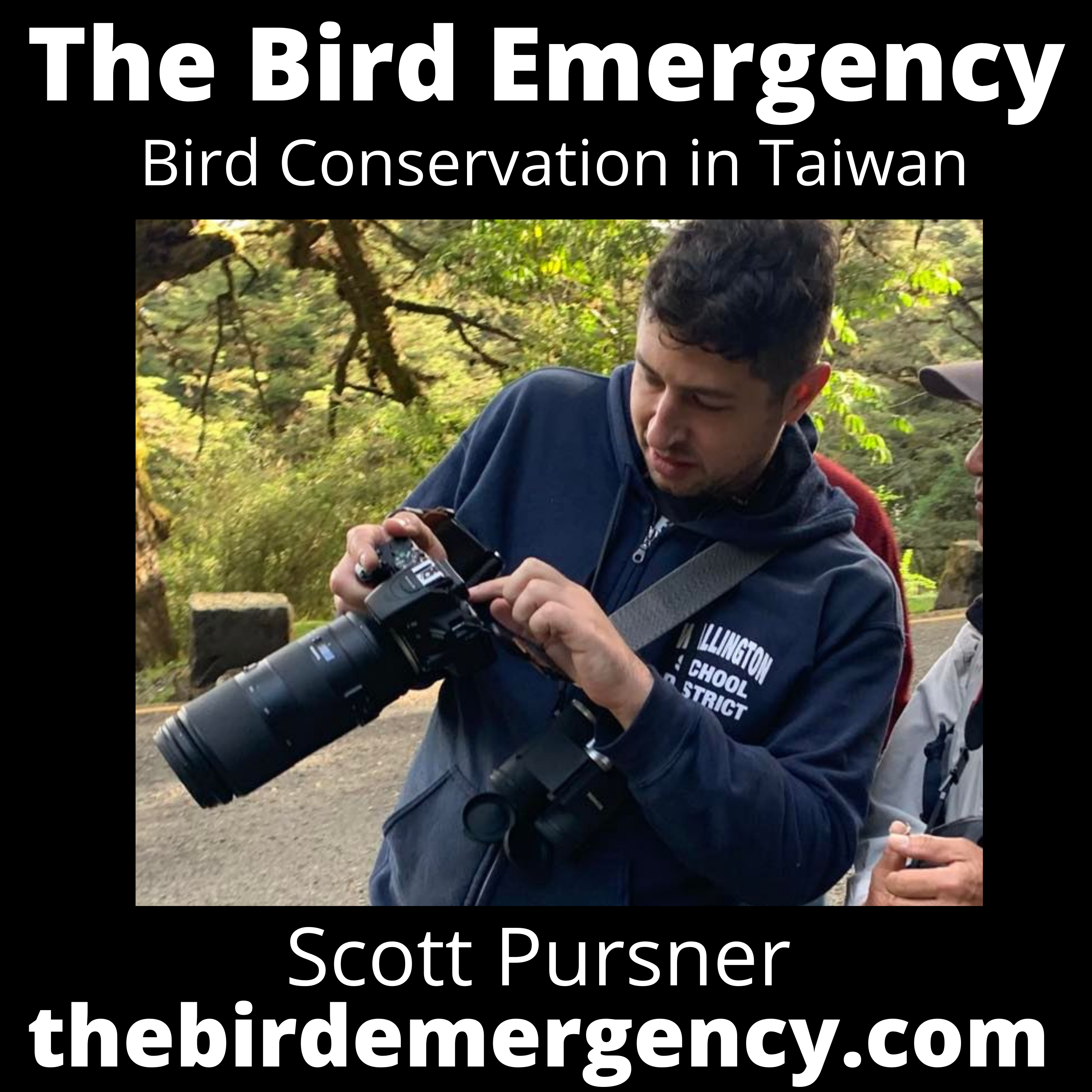 The Bird Emergency