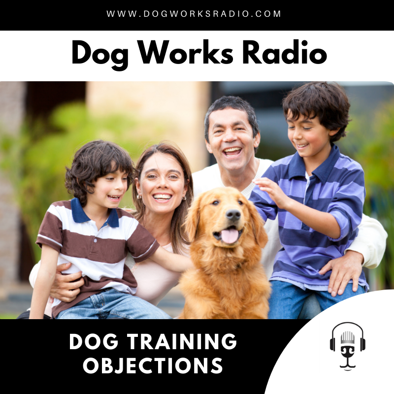 The 3 Biggest Reasons Families Avoid Dog Training (and How to Overcome Them)