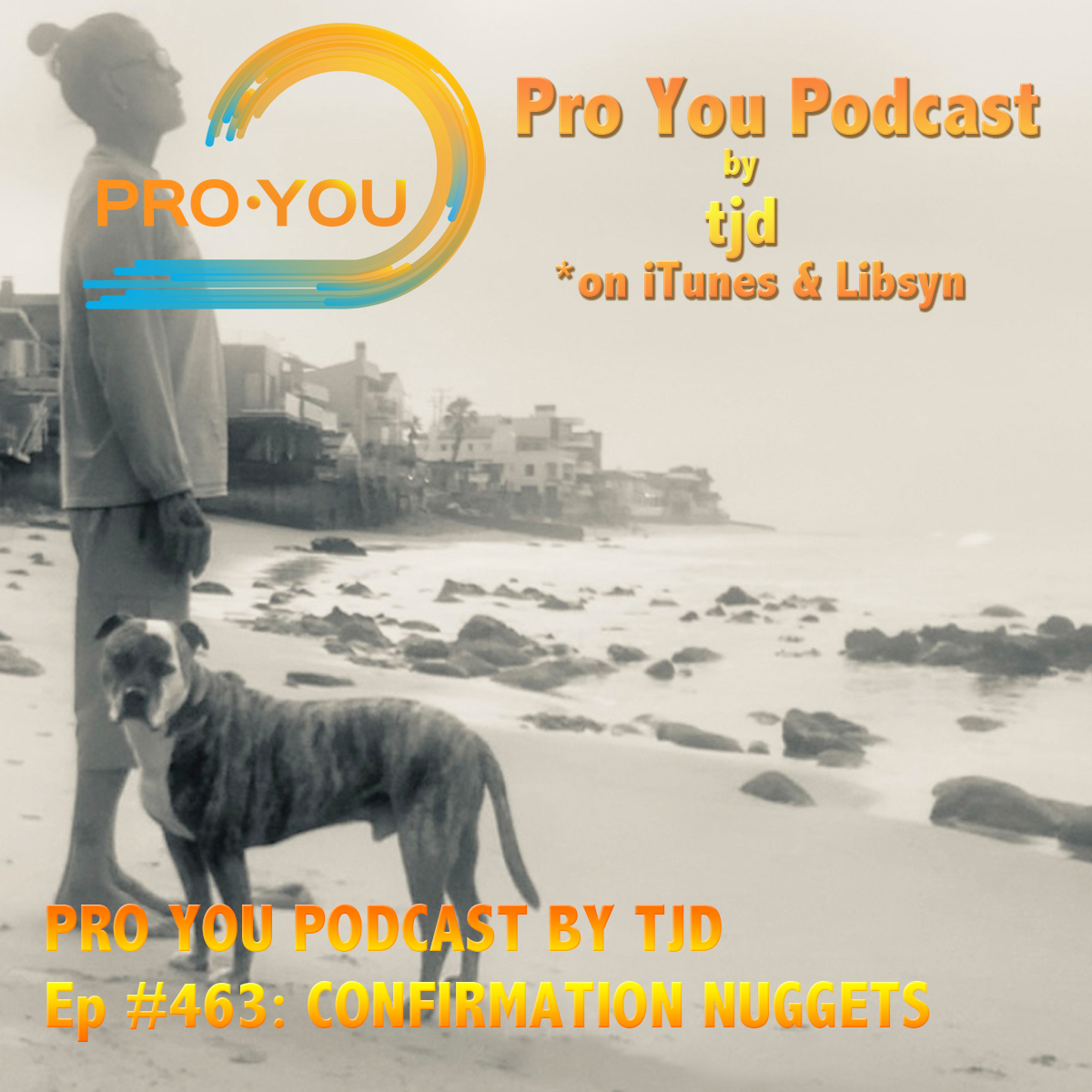 #463 Confirmation Nuggets